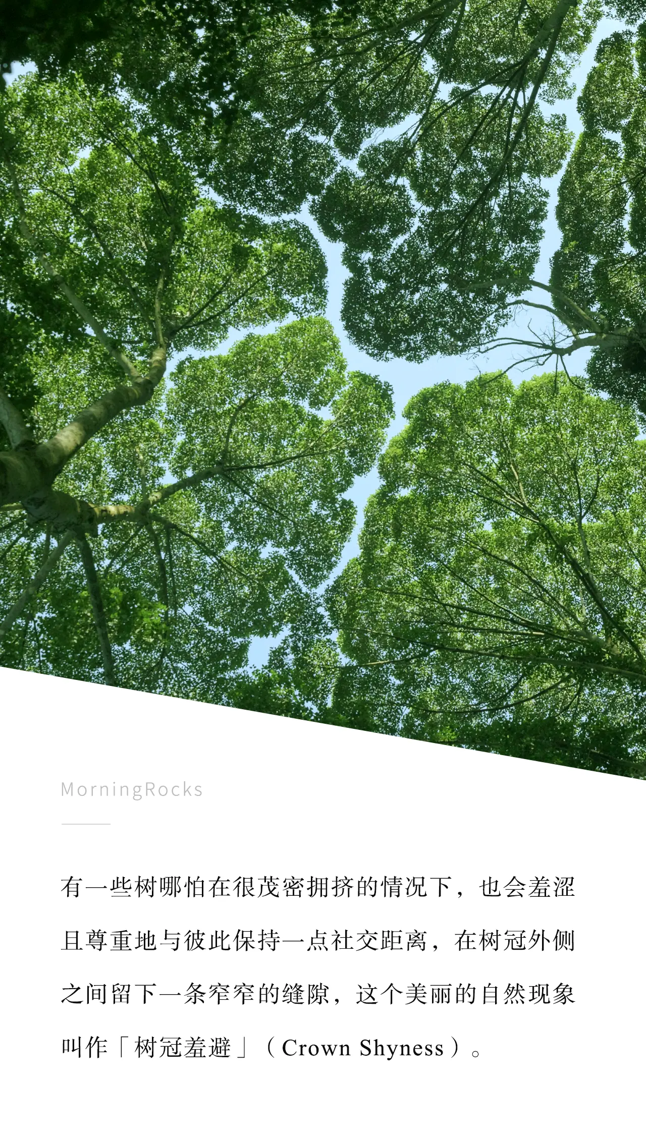 An image to describe post