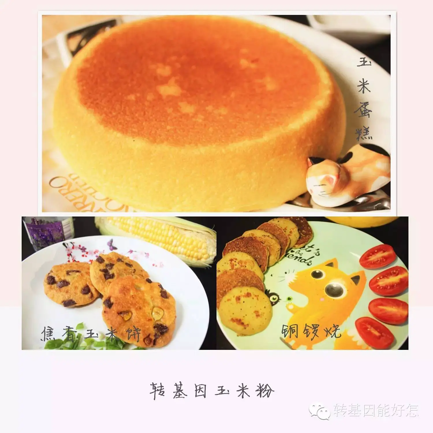 An image to describe post 唯爱与美食与科学不可辜负丨转基因美食大放送