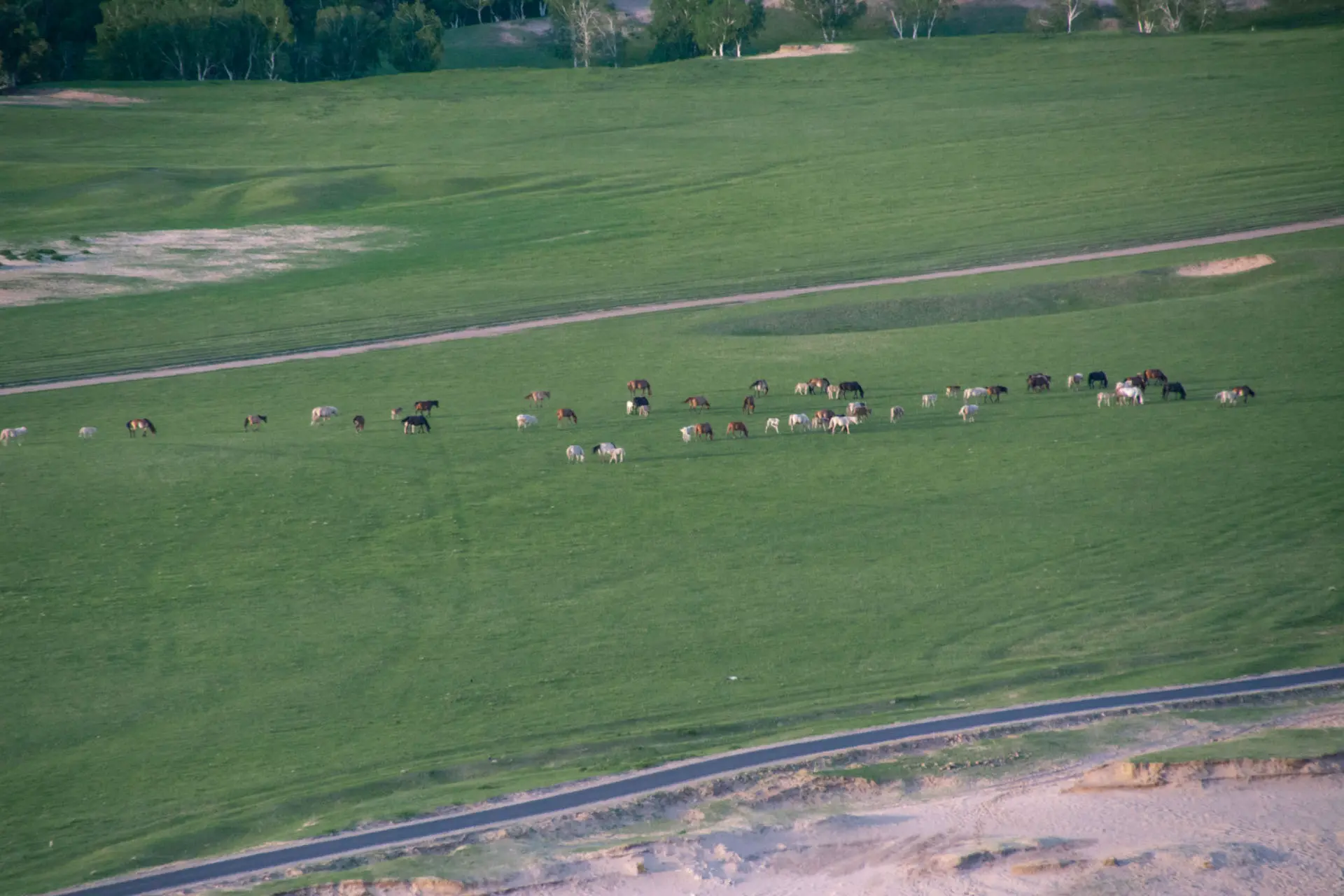 An image to describe post