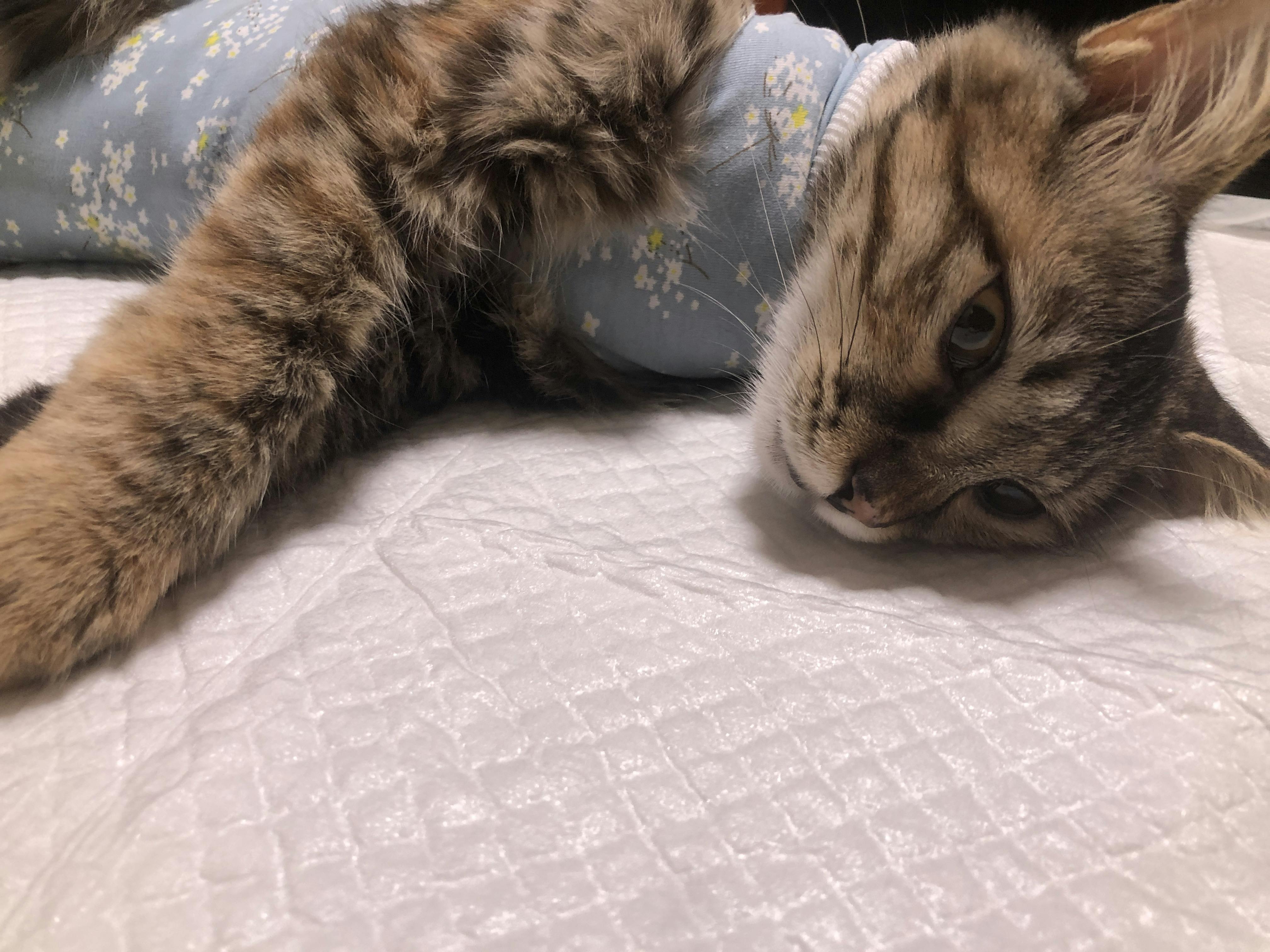 An image to describe post