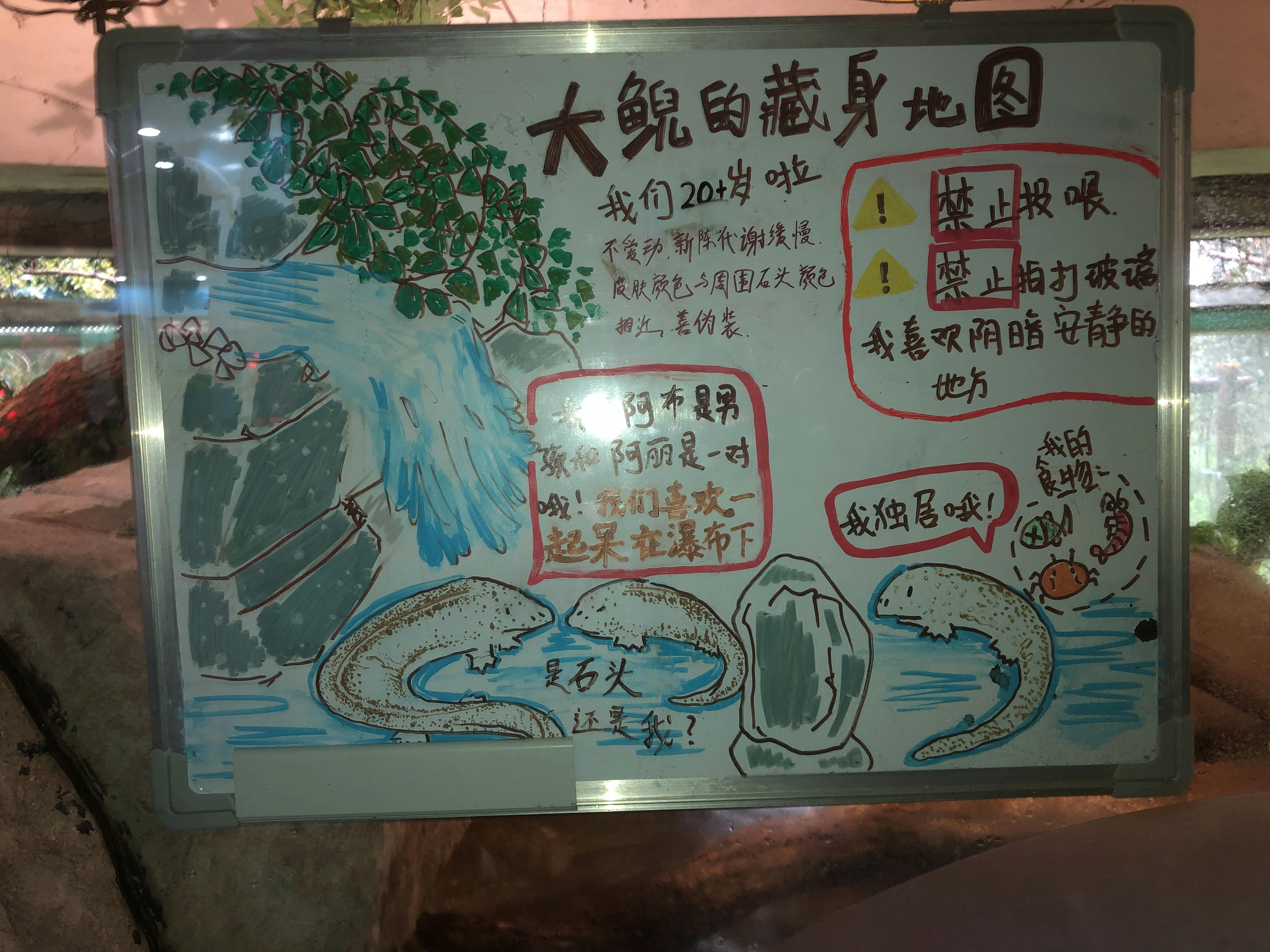 An image to describe post