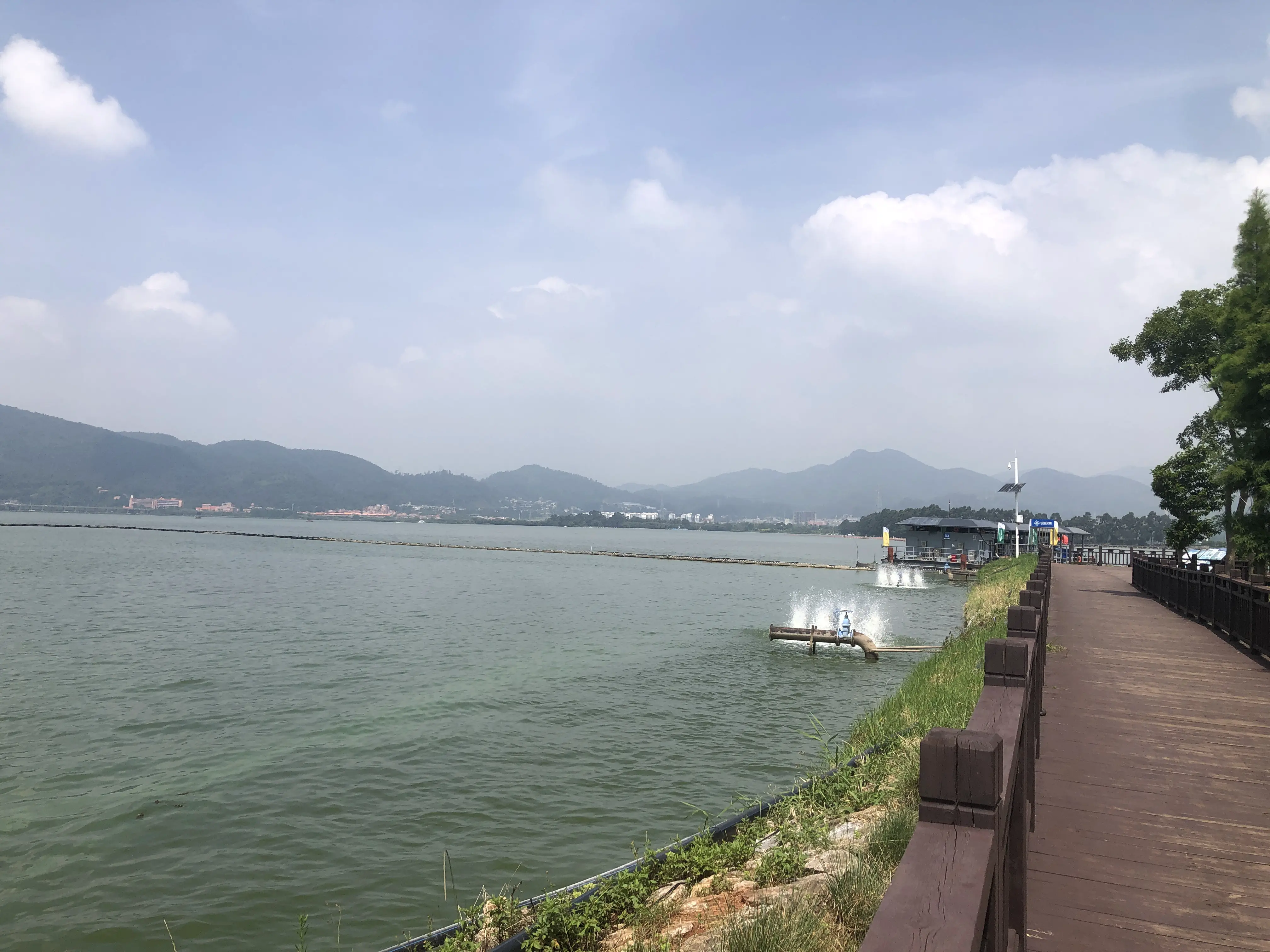 An image to describe post