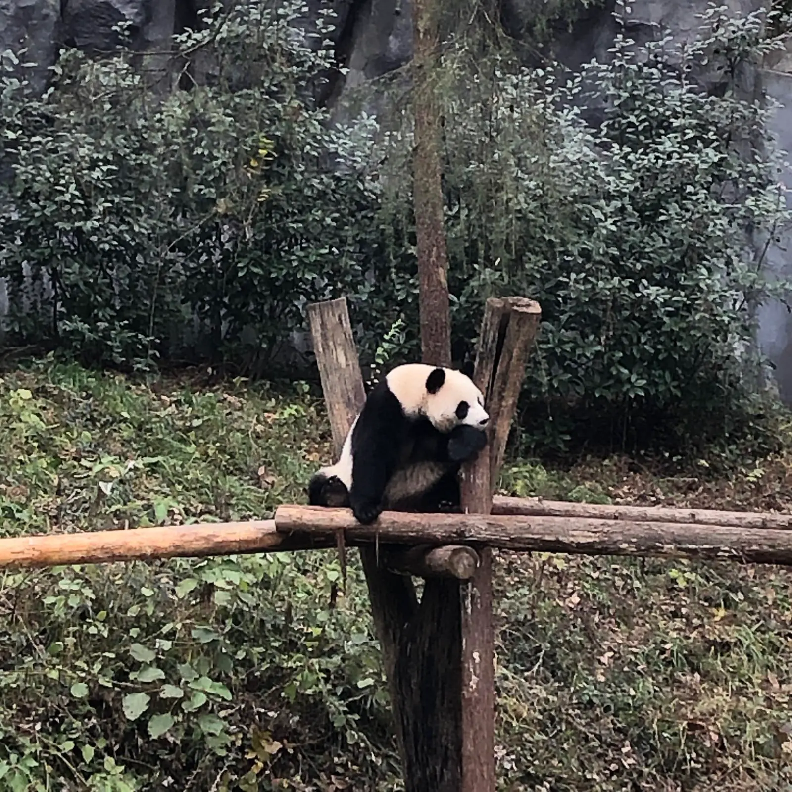 An image to describe post