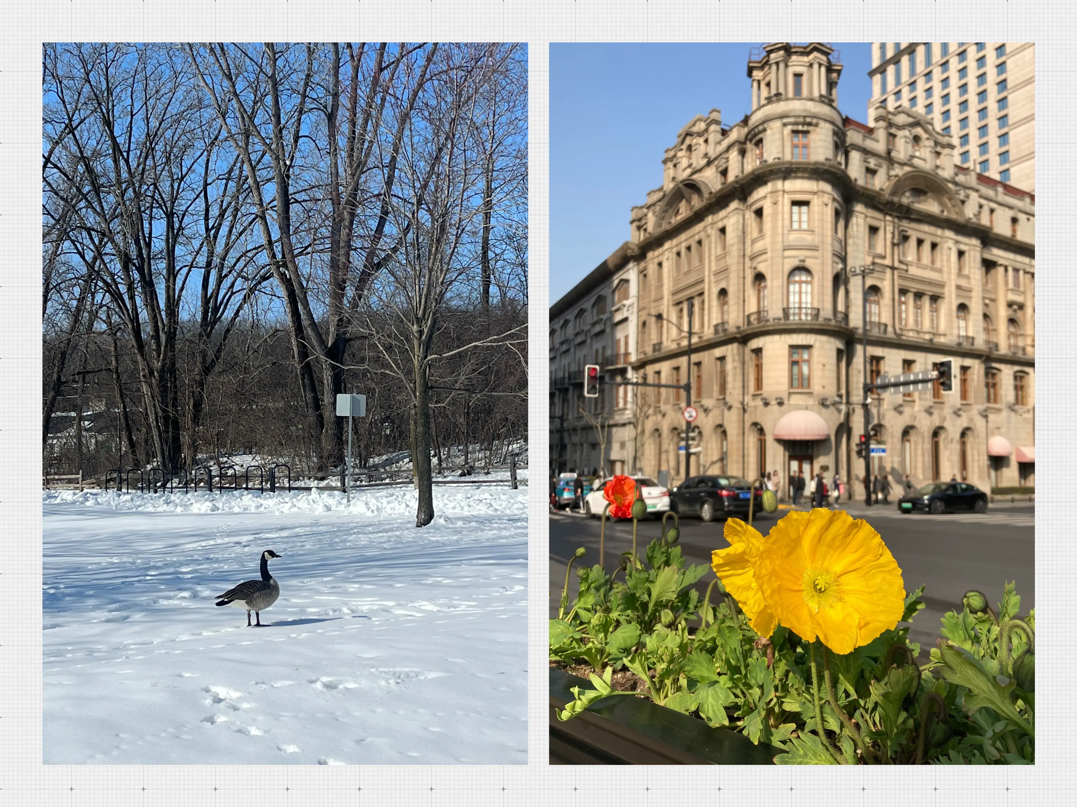 Issue#17 不停探问 1 ：来自童年的探问