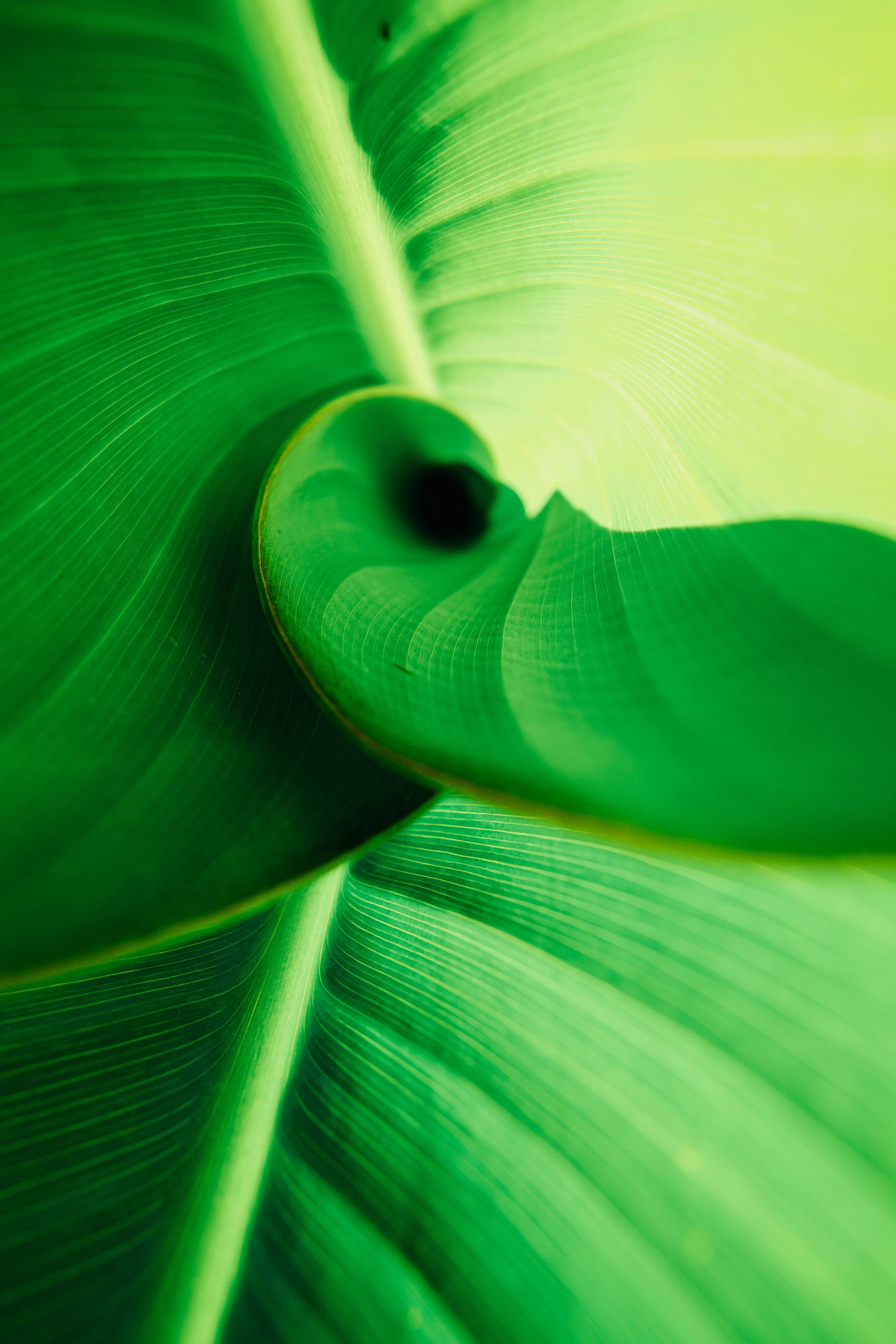 Best of article 11：黄仁勋——打败对手不是目标