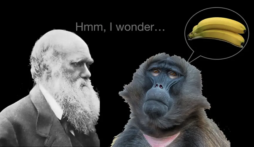 An image to describe post