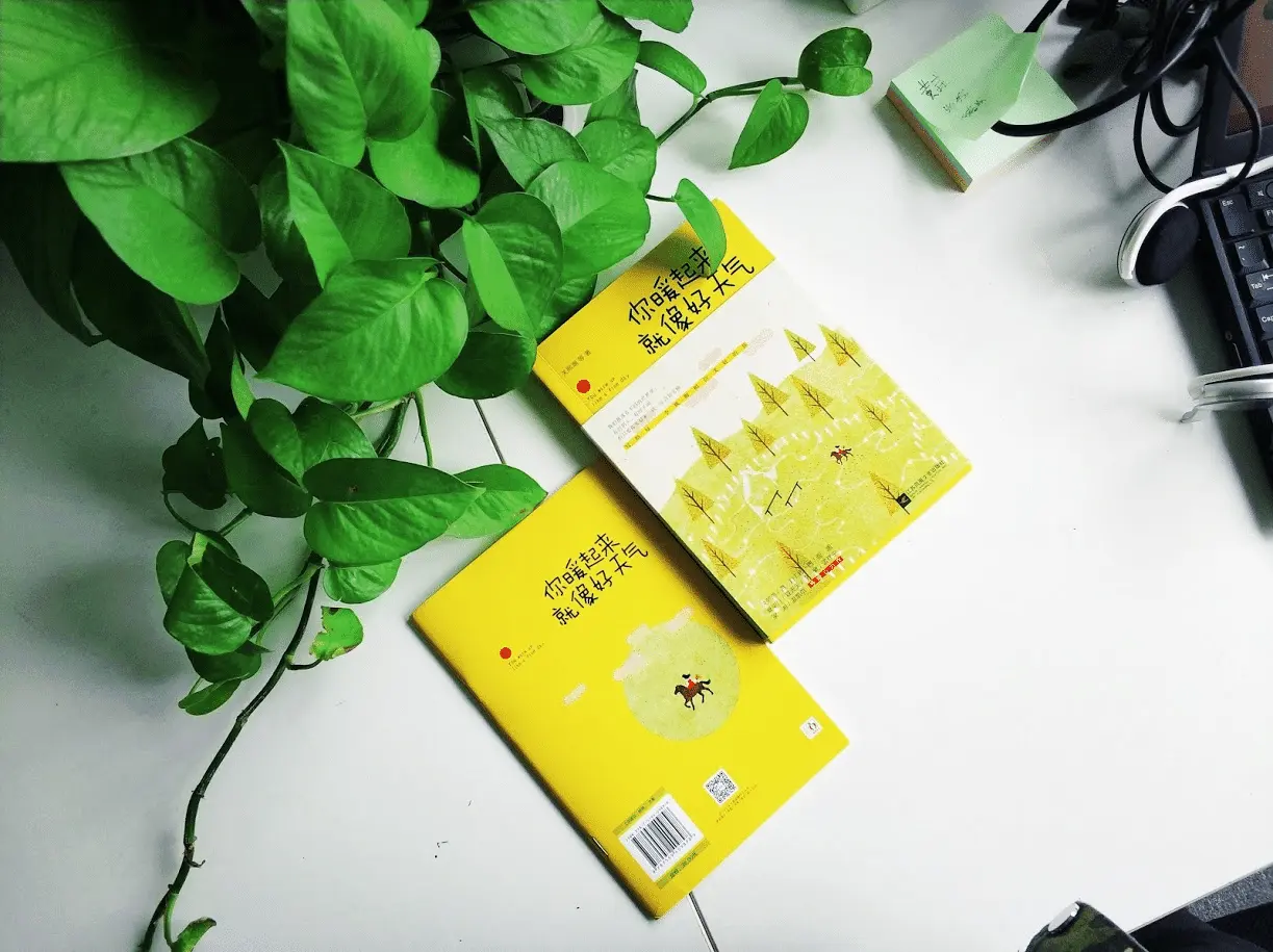 An image to describe post