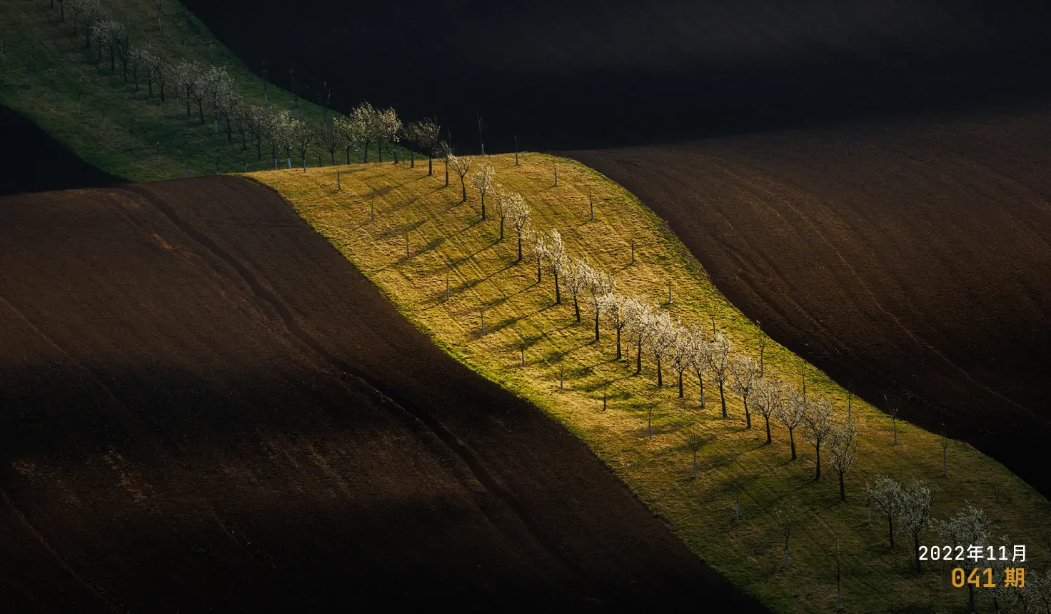 Moonvy 月维设计素材周刊 第 041 期