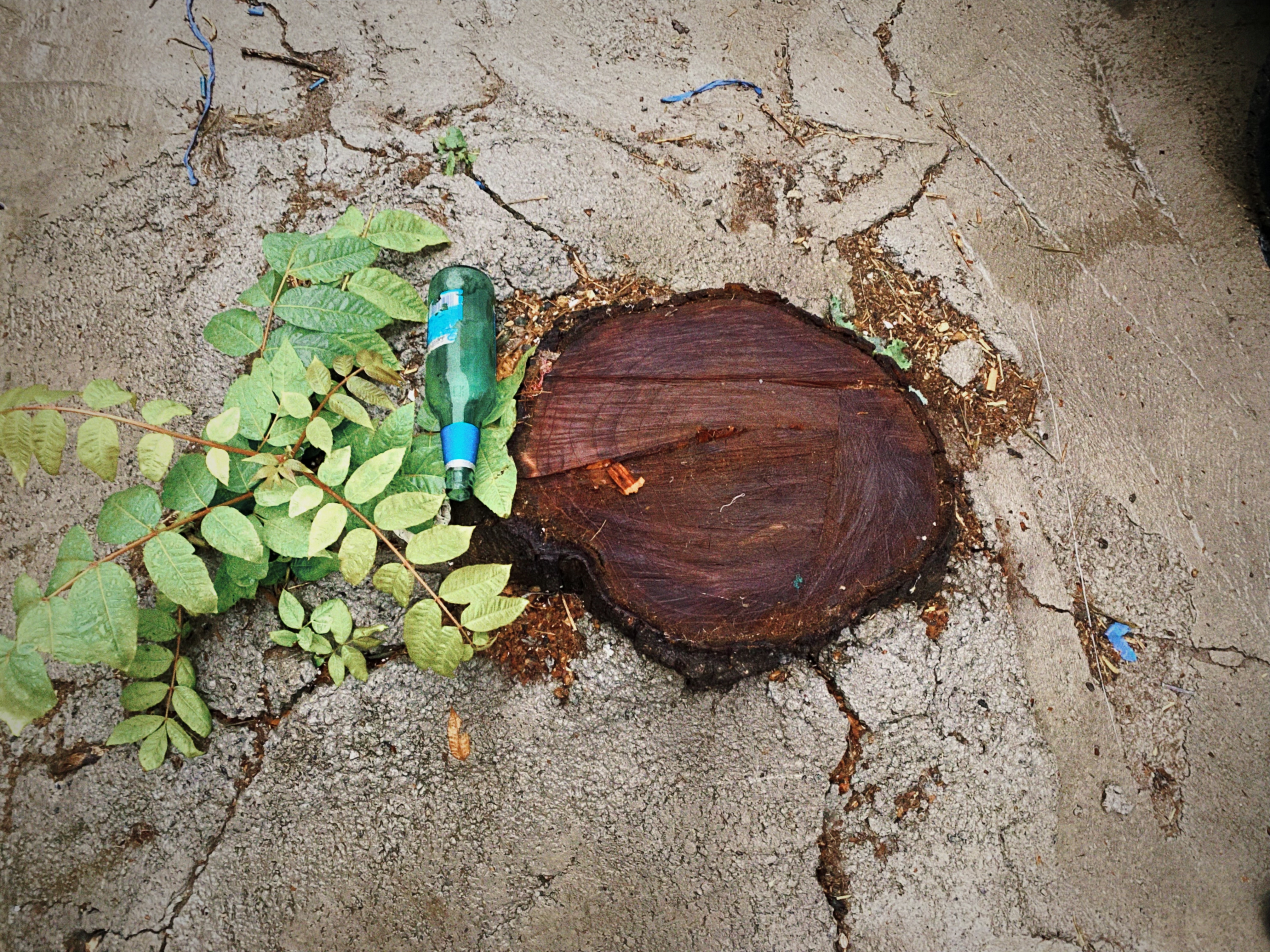 An image to describe post