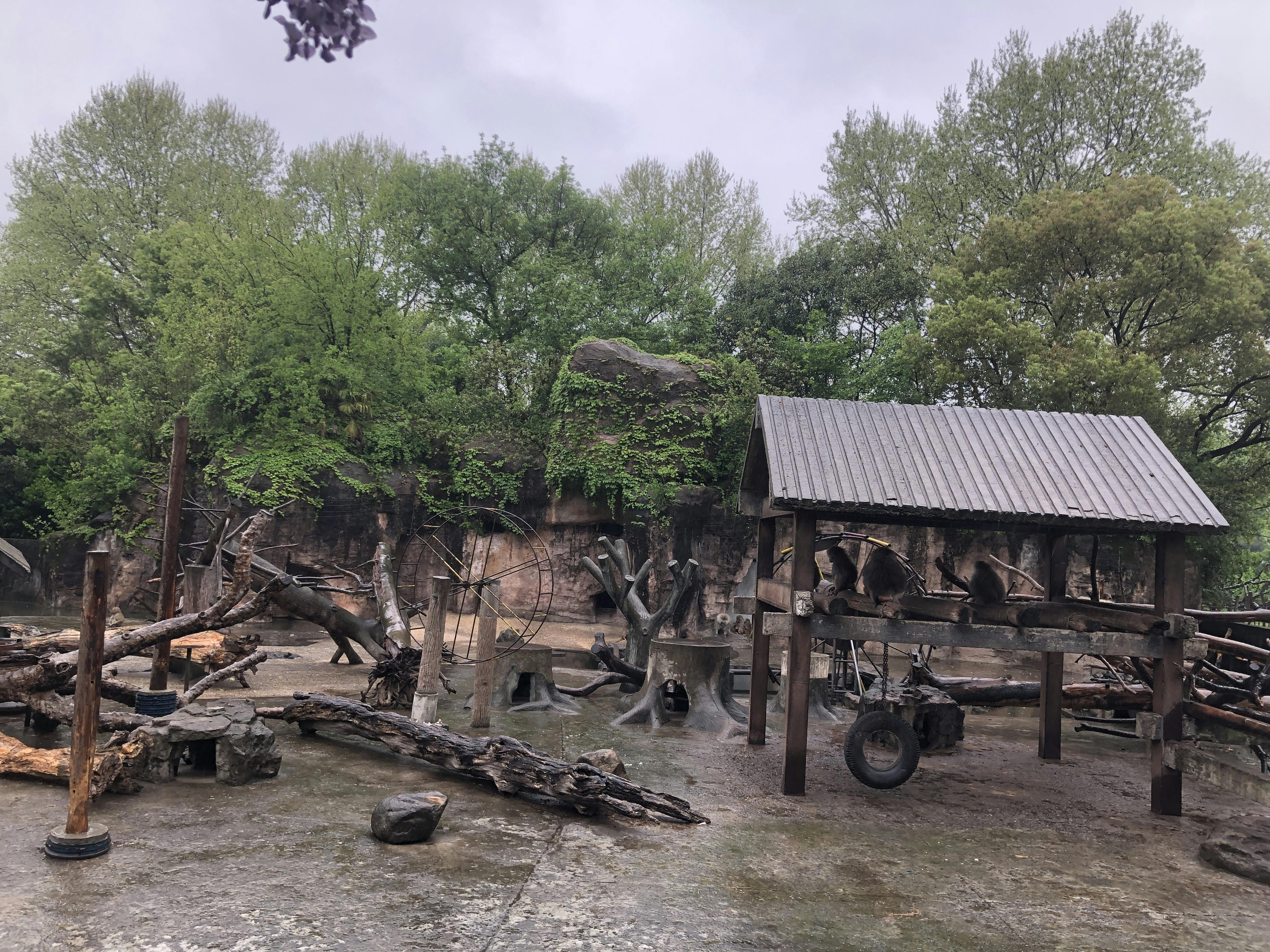 An image to describe post