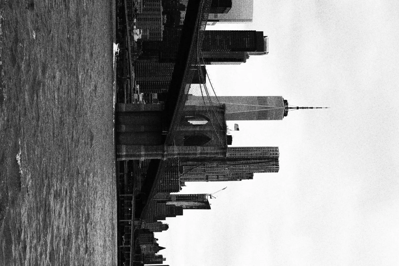 Semi-paranoid #49 曾为纽约客