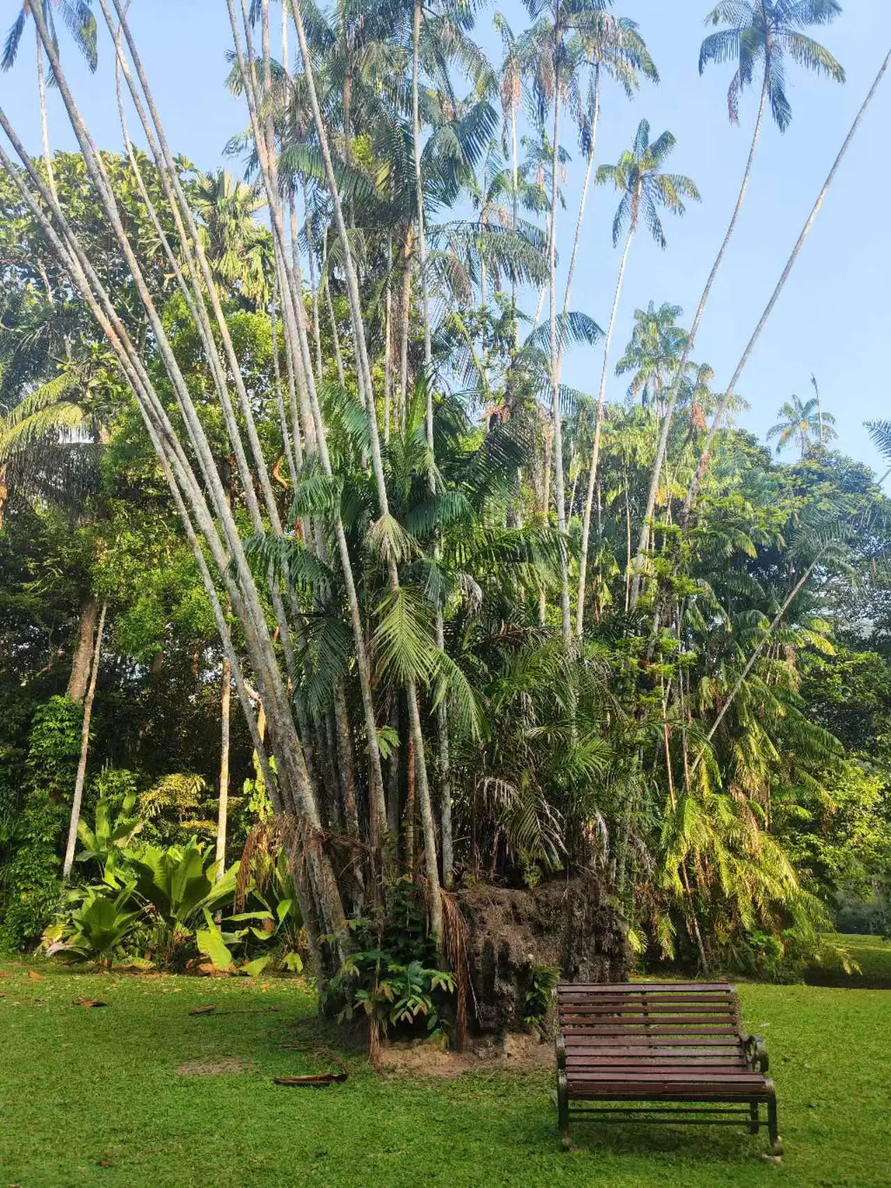 An image to describe post