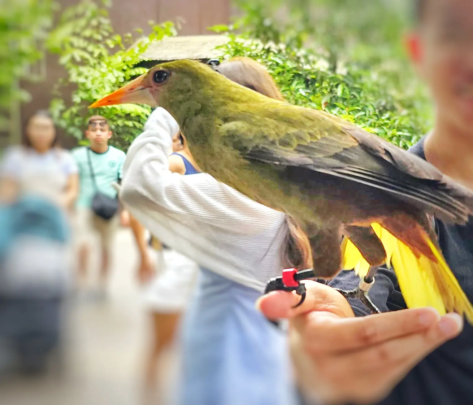 怎么在命盘上看你的「鸟」？