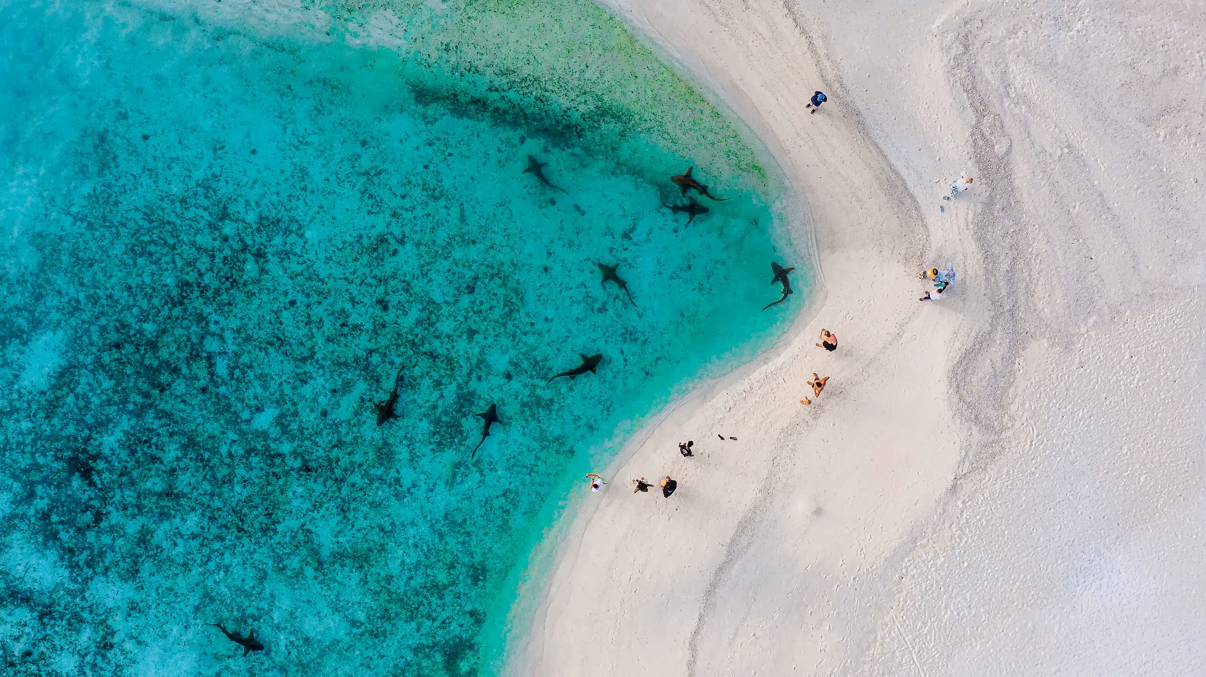 NO1 同理心、数字游民及其他