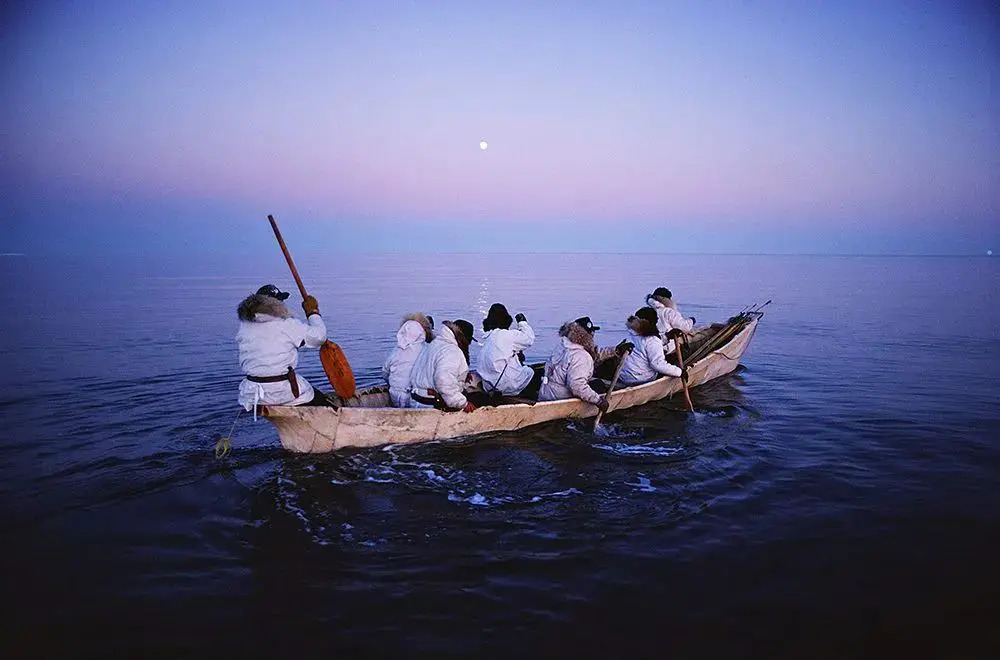 An image to describe post