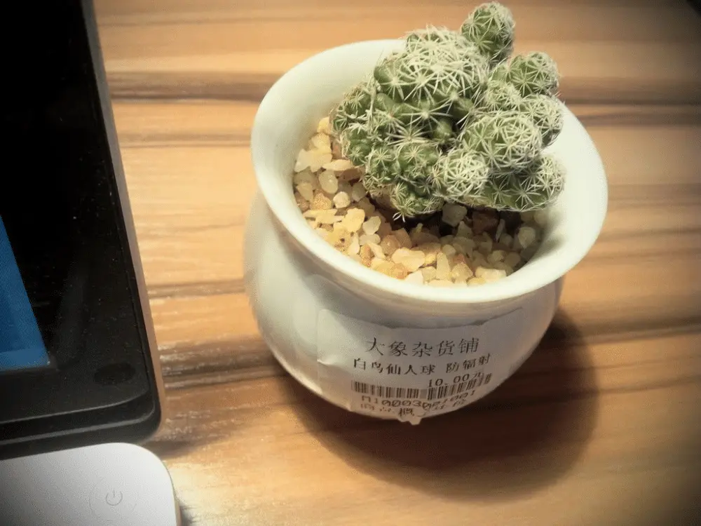 An image to describe post