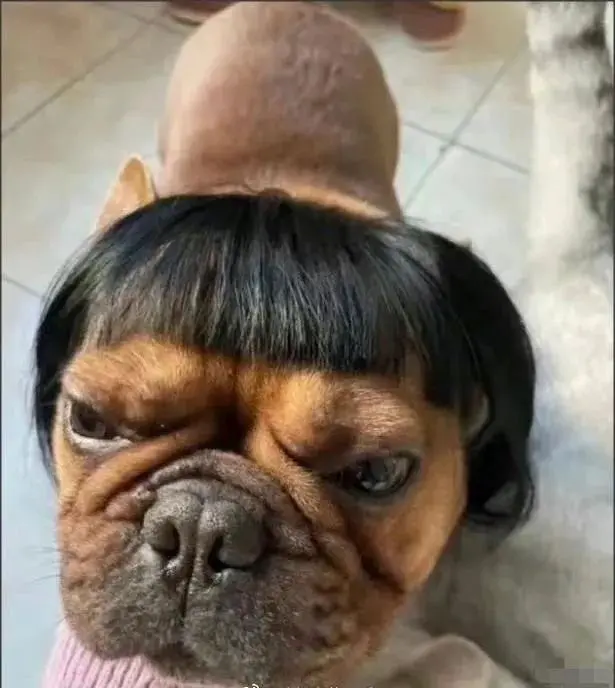 An image to describe post