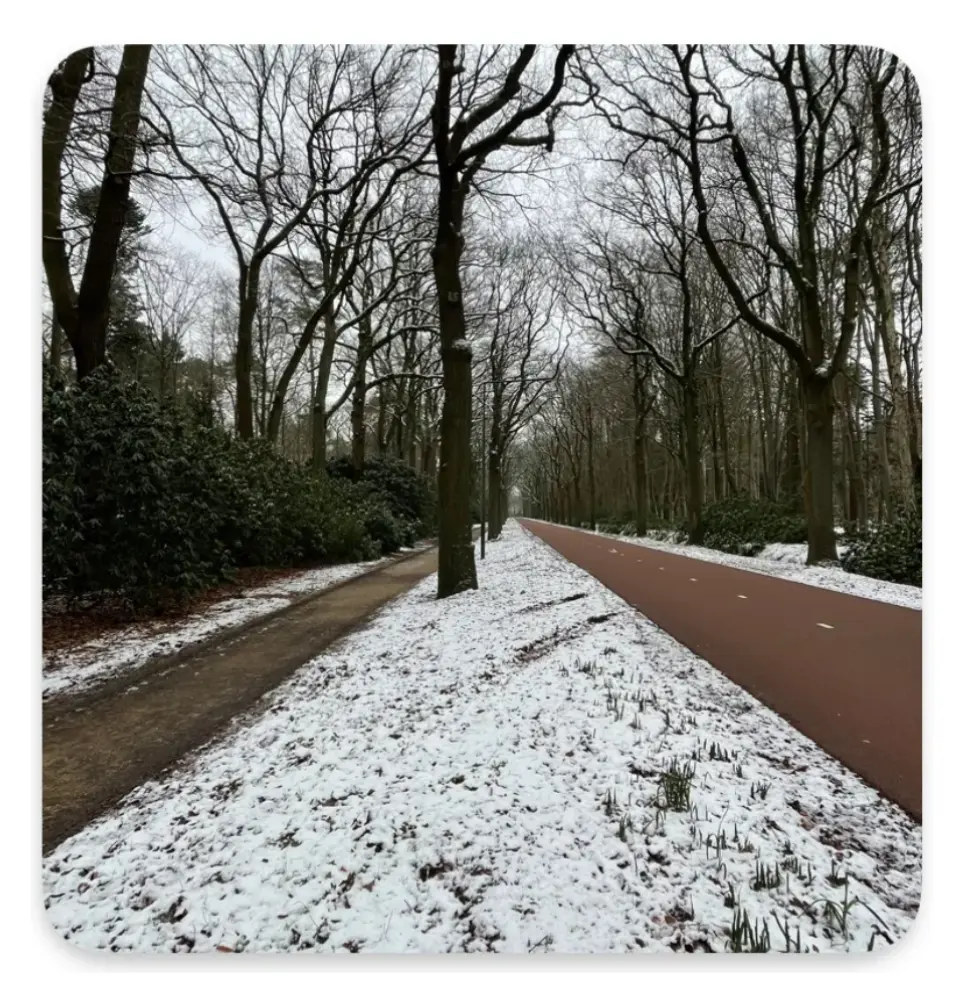 An image to describe post