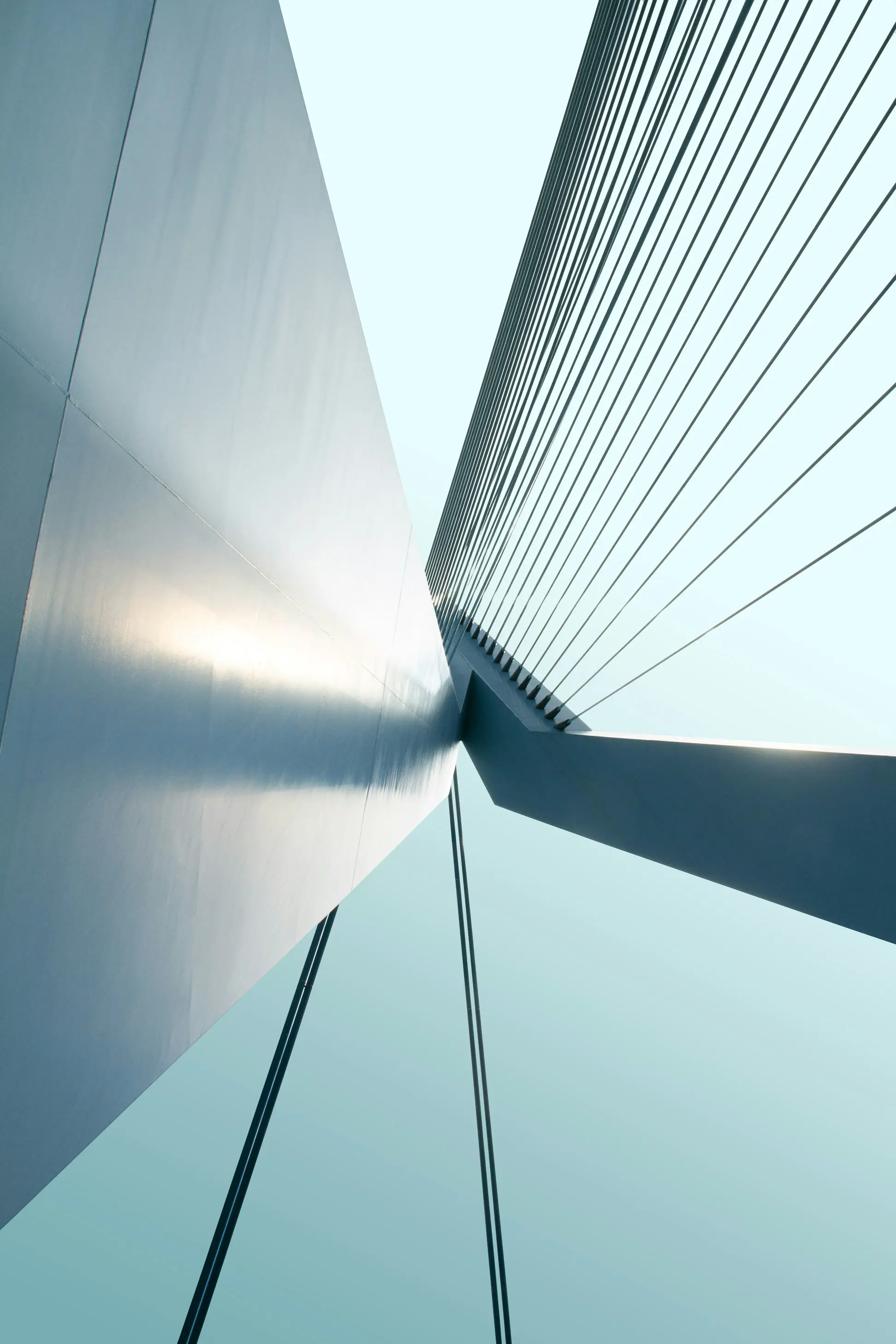  鹿特丹马拉松 · 第10-11周 · 提高免疫力 · 半马 · 跑遍每条街