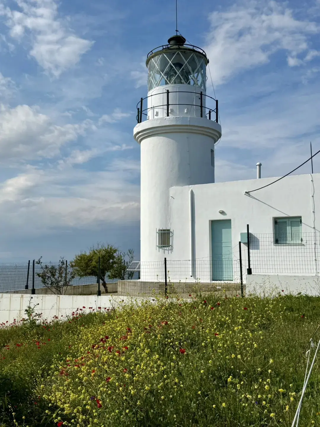 An image to describe post