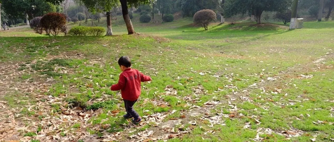 回家过年，谈点感想