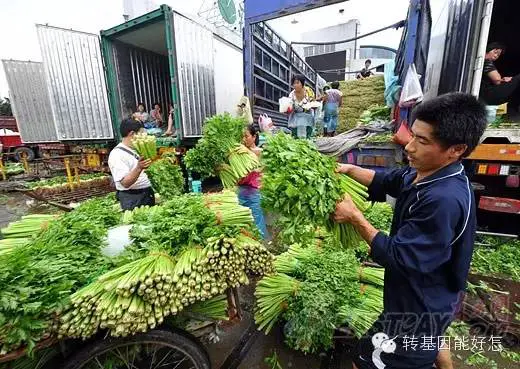 An image to describe post 为什么蔬菜不标注男人种的还是女人种的？