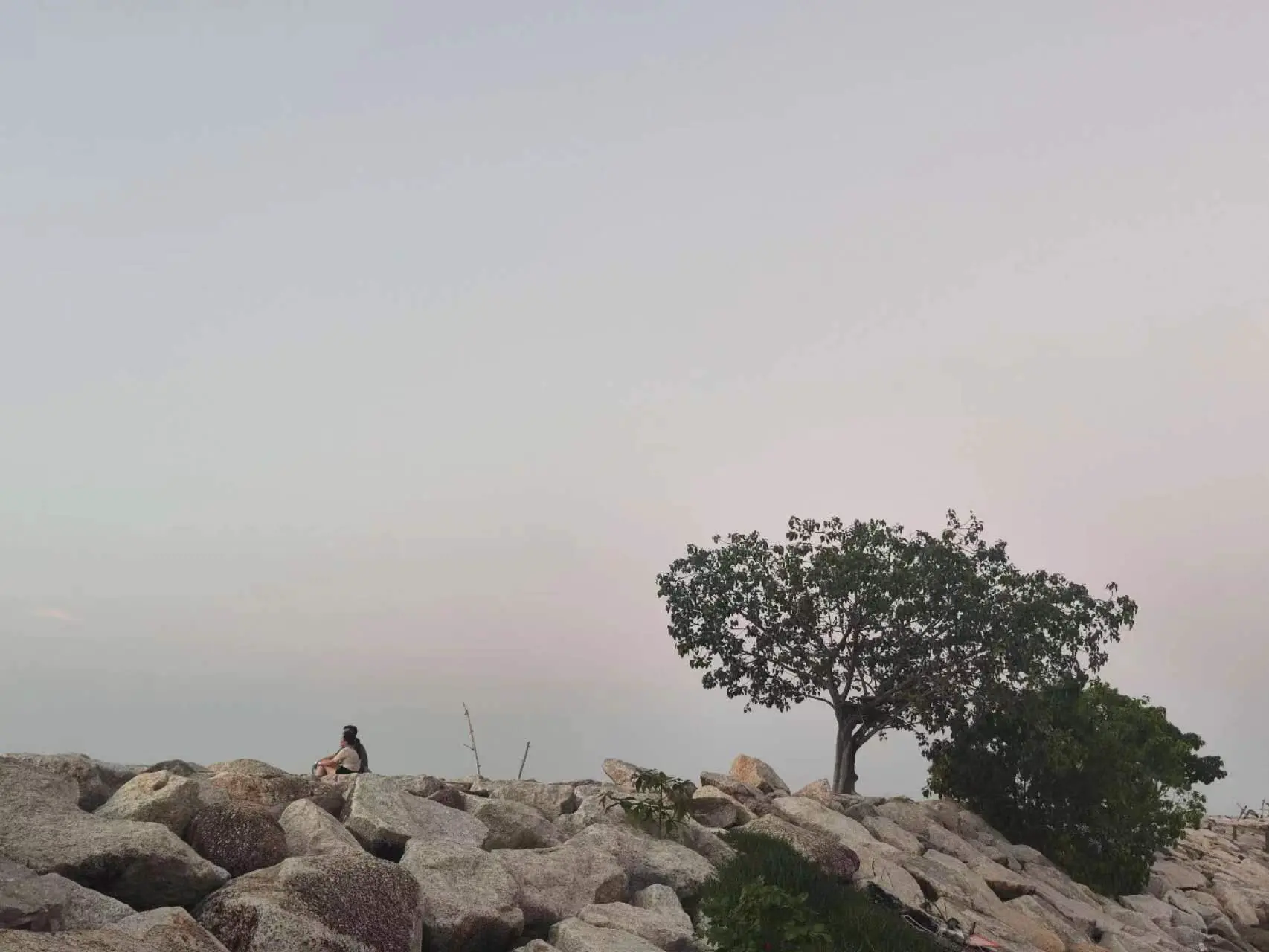 An image to describe post