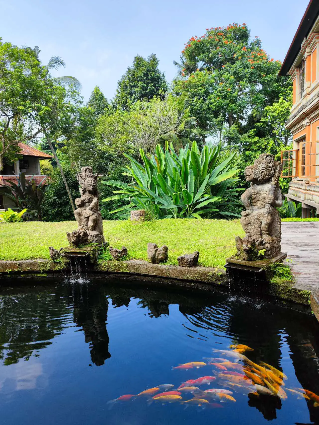 An image to describe post