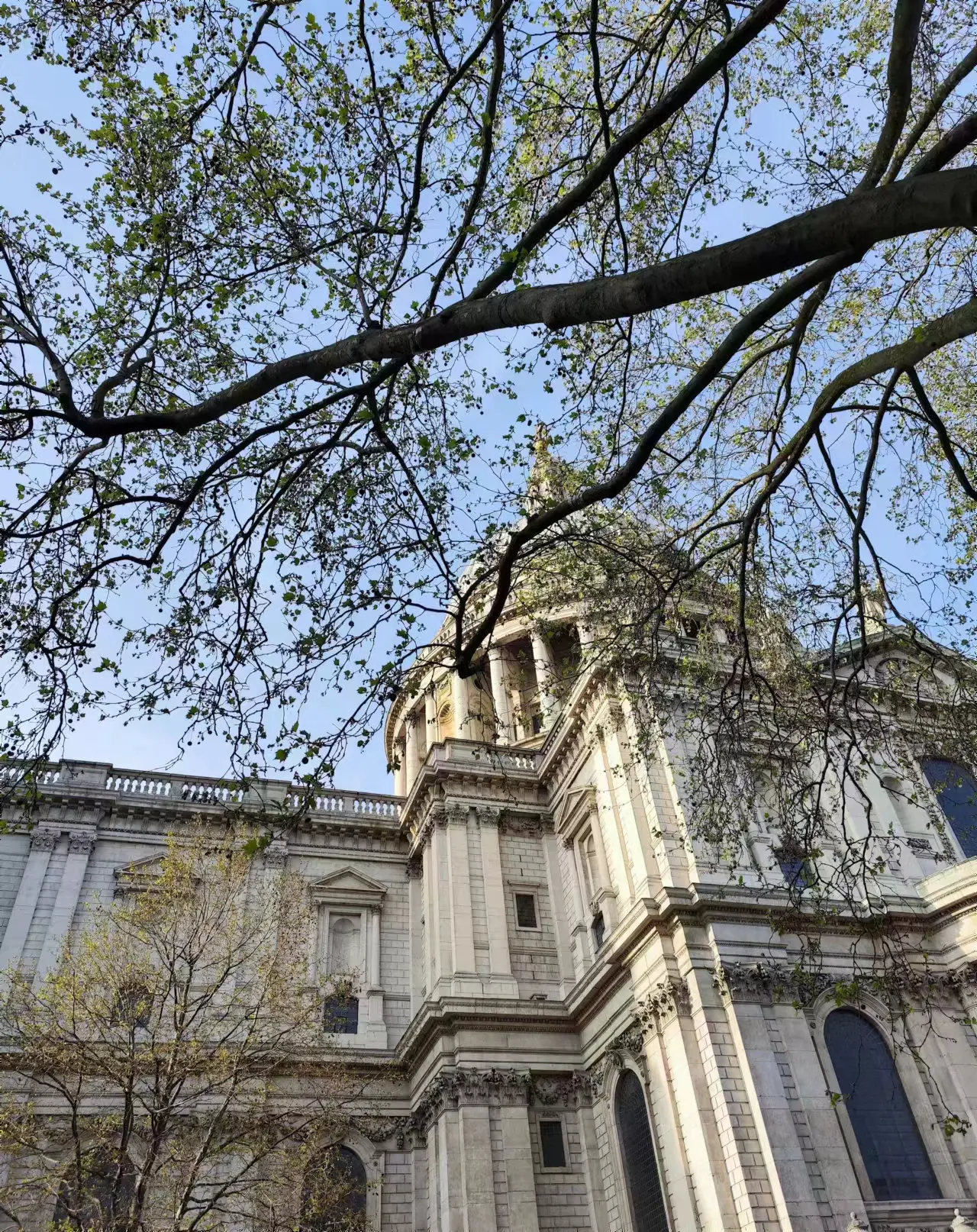 An image to describe post