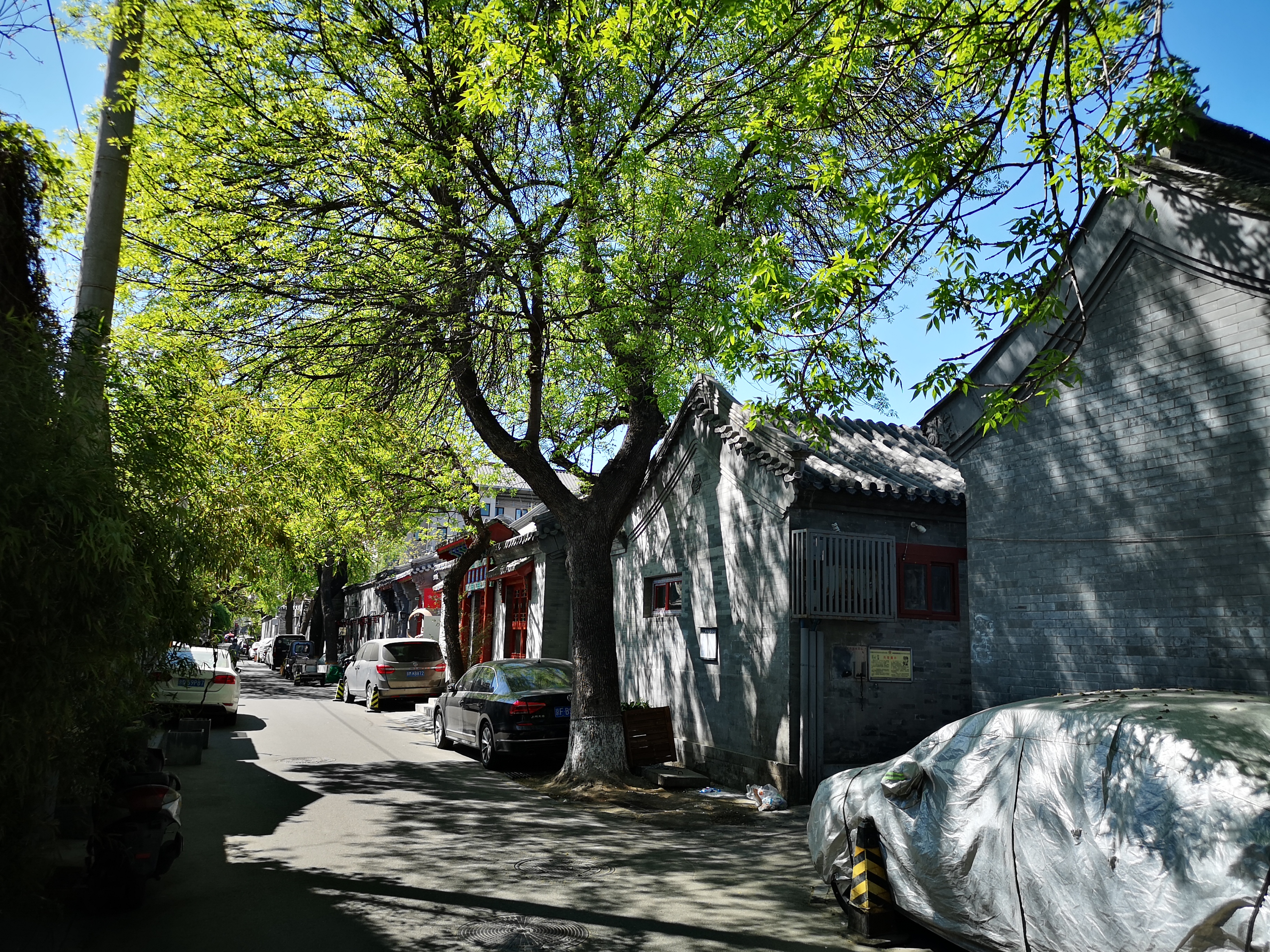 An image to describe post