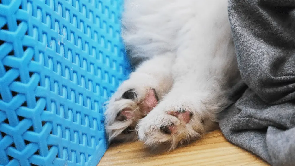 An image to describe post