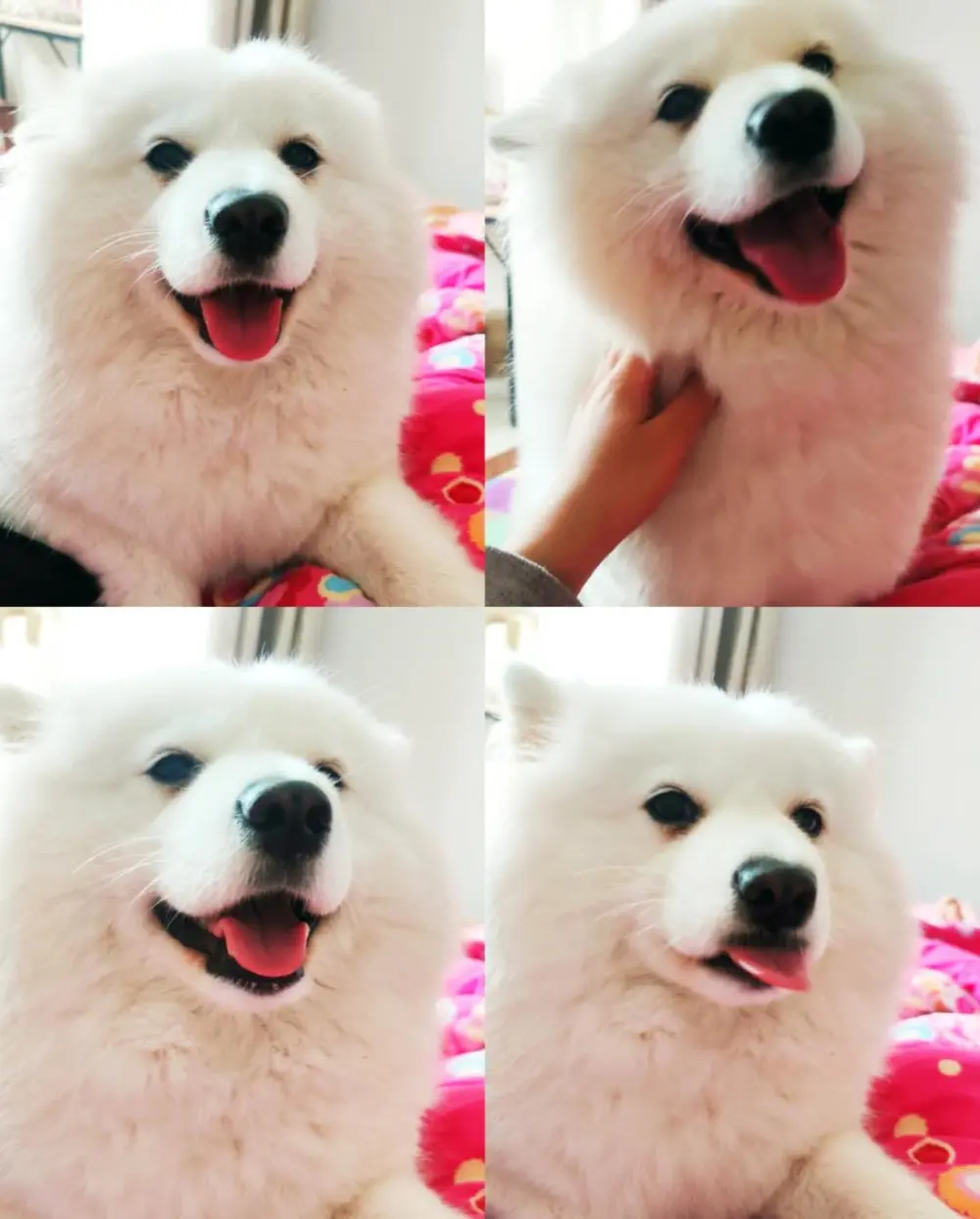 An image to describe post