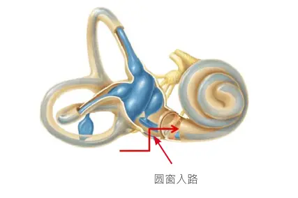 An image to describe post