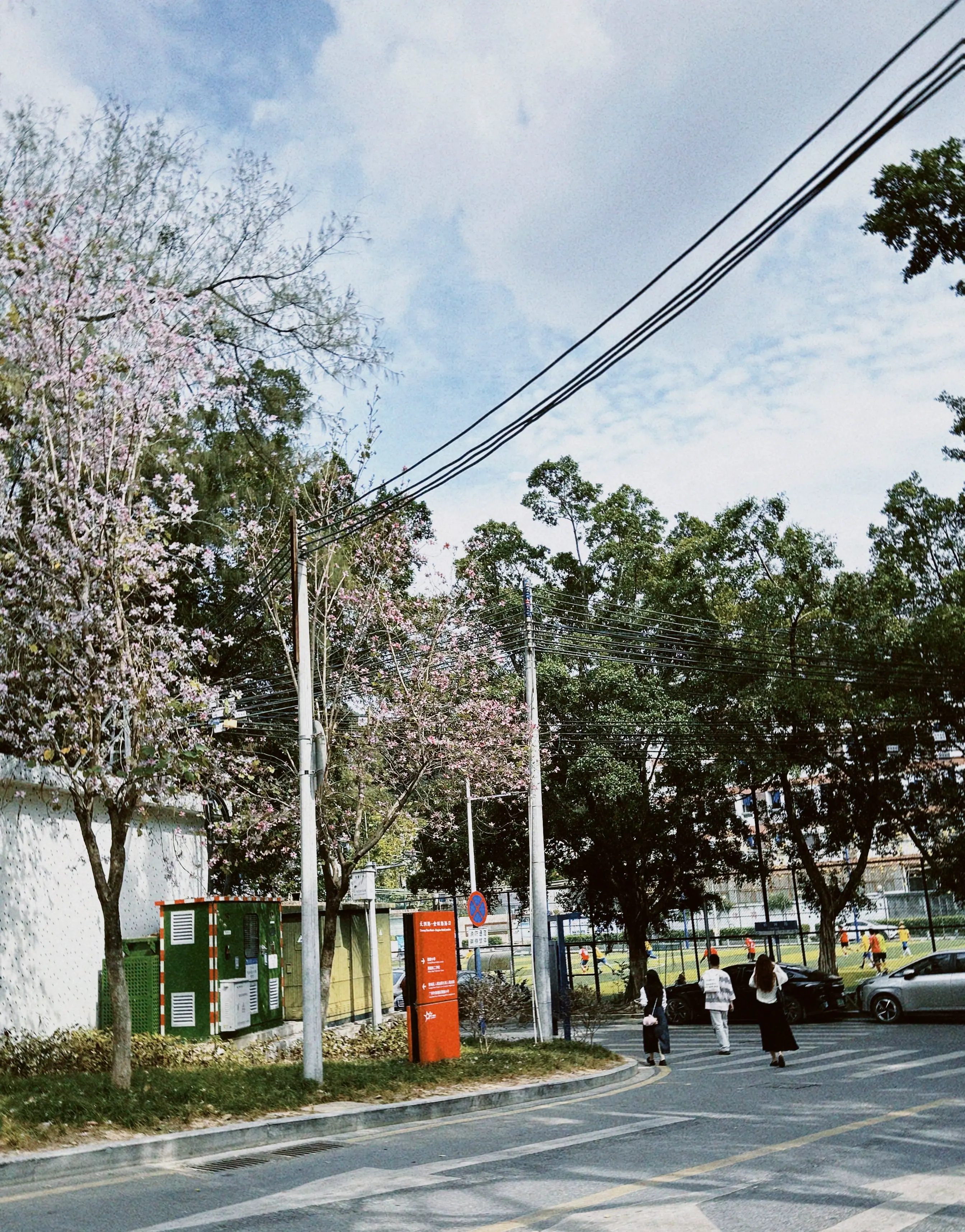 An image to describe post