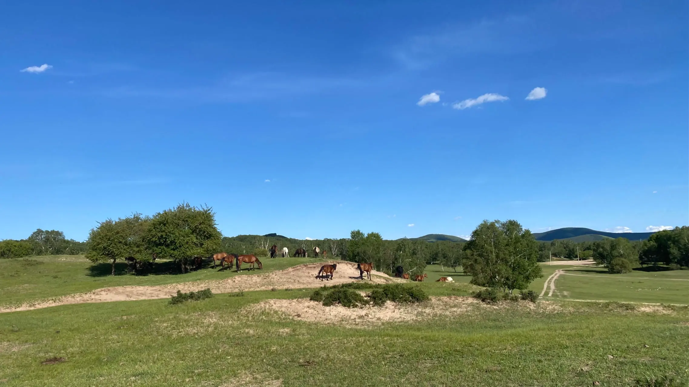 An image to describe post