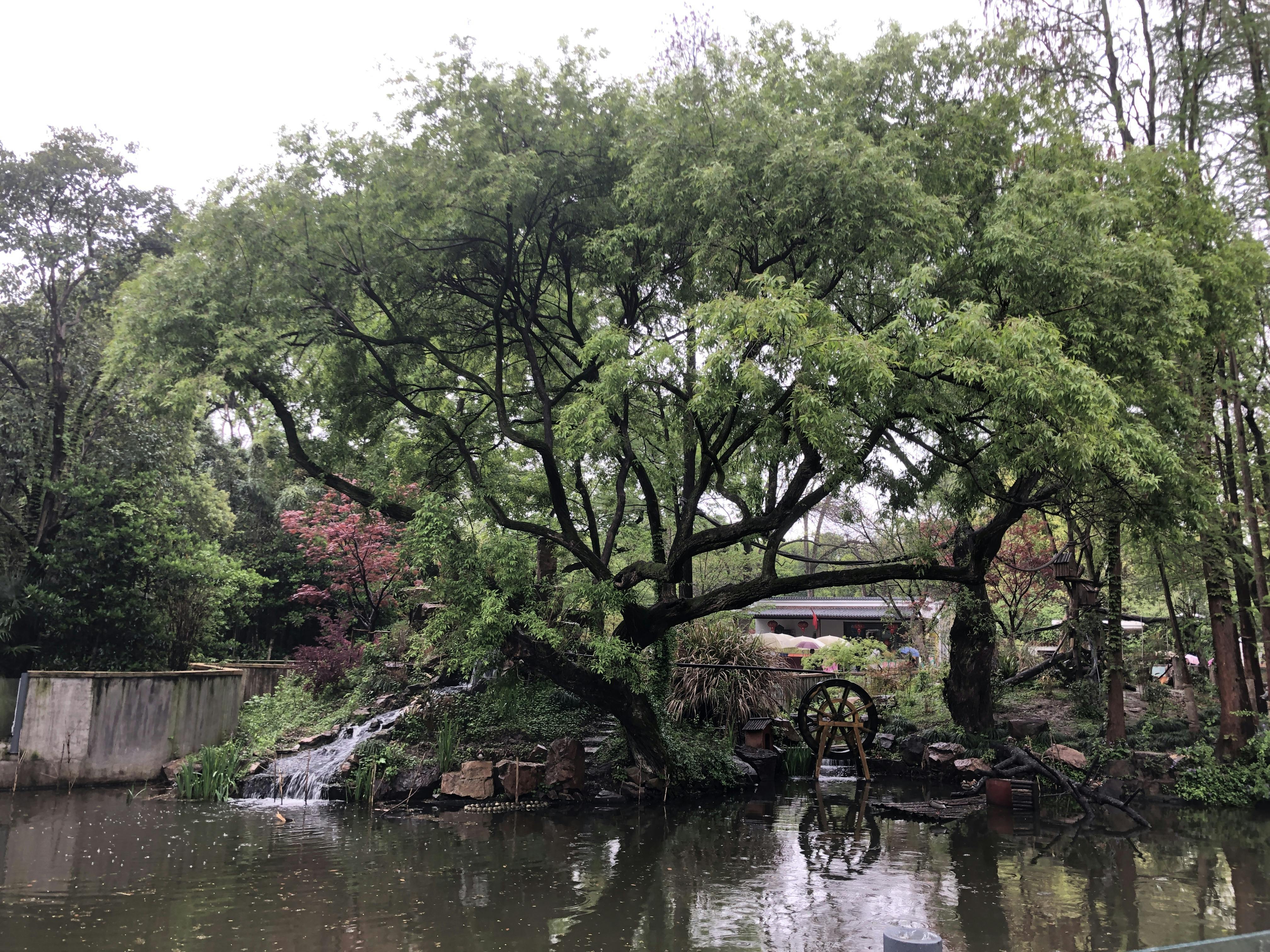 An image to describe post