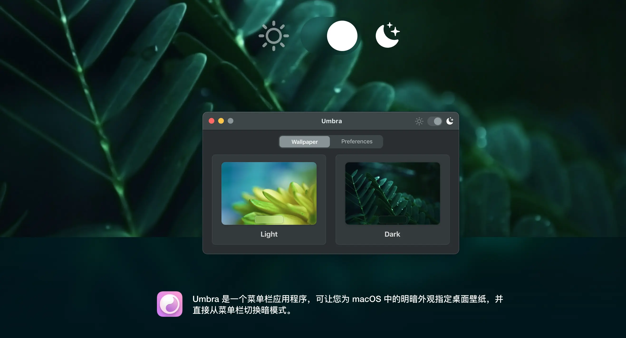 An image to describe post