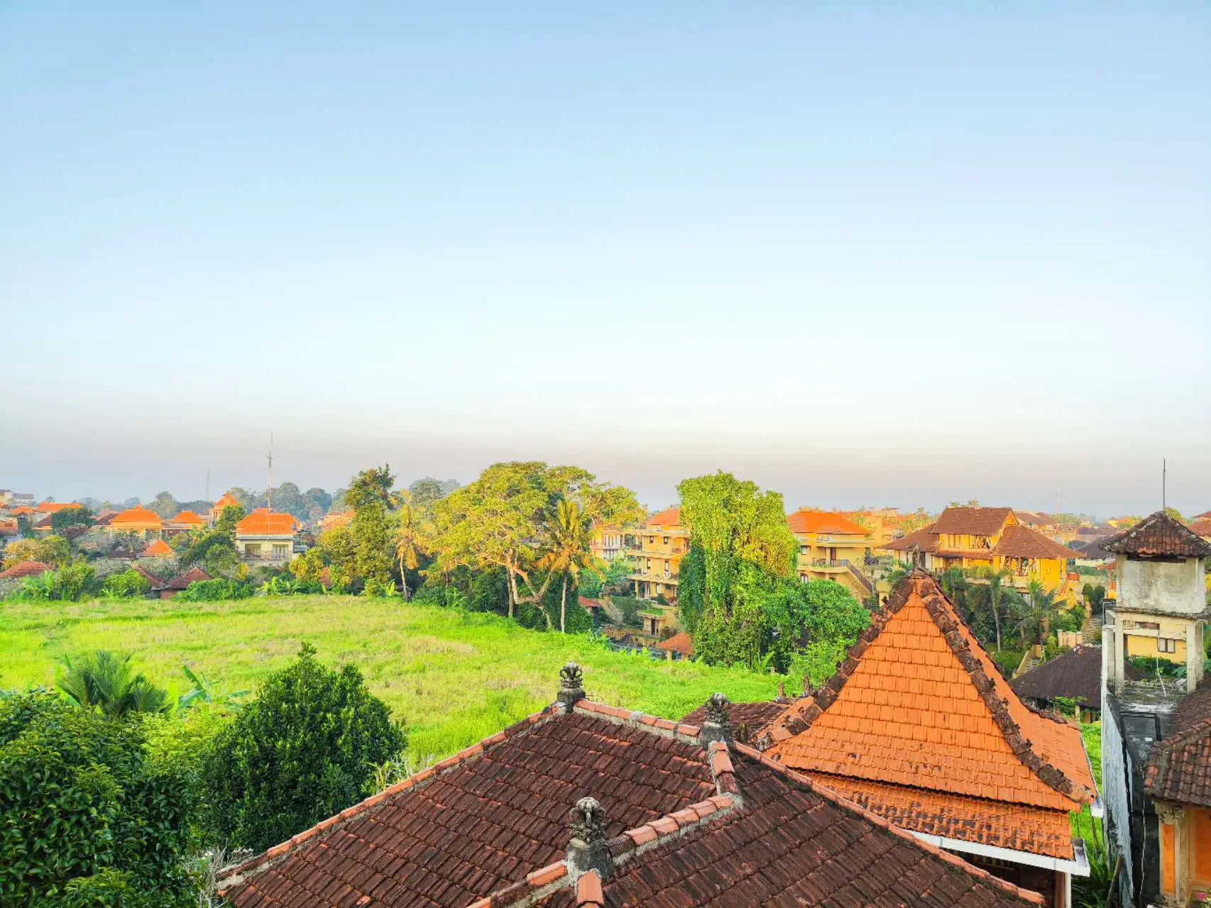 An image to describe post