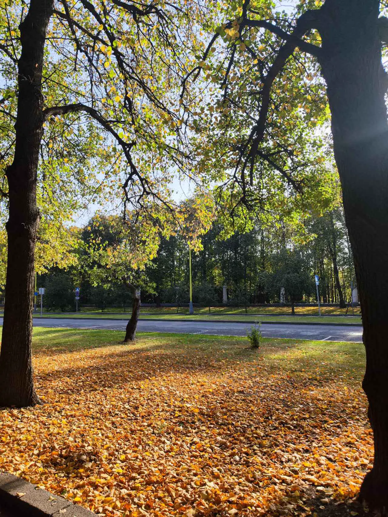 An image to describe post