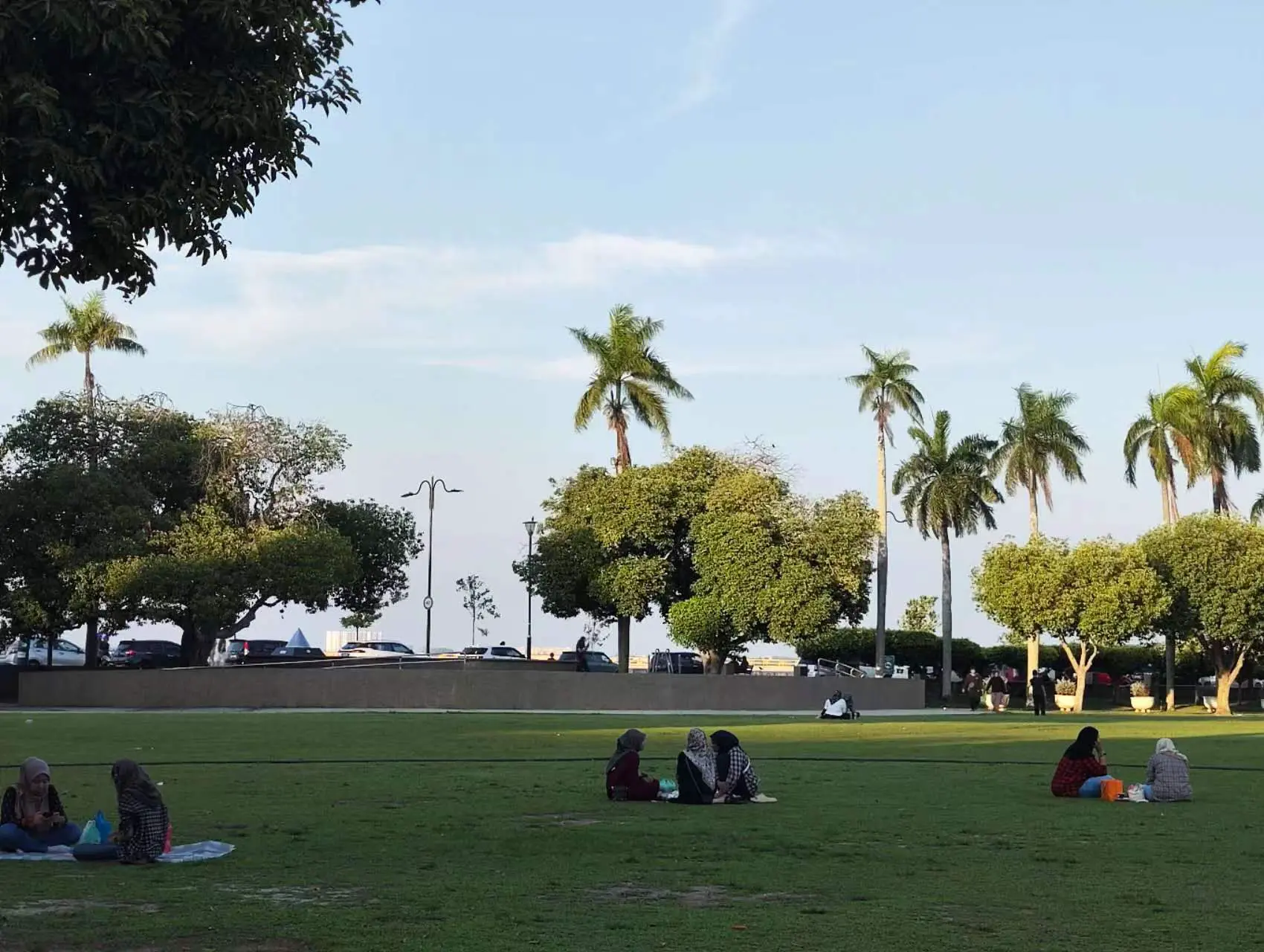 An image to describe post