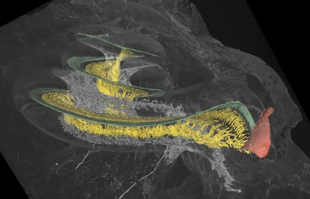 An image to describe post