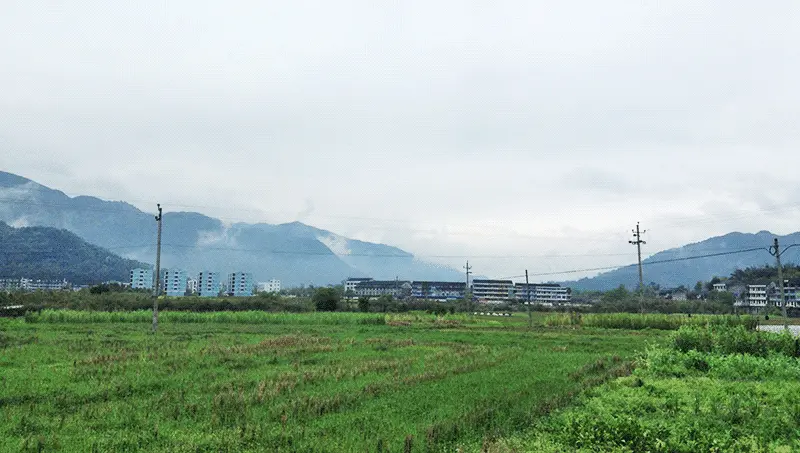 An image to describe post