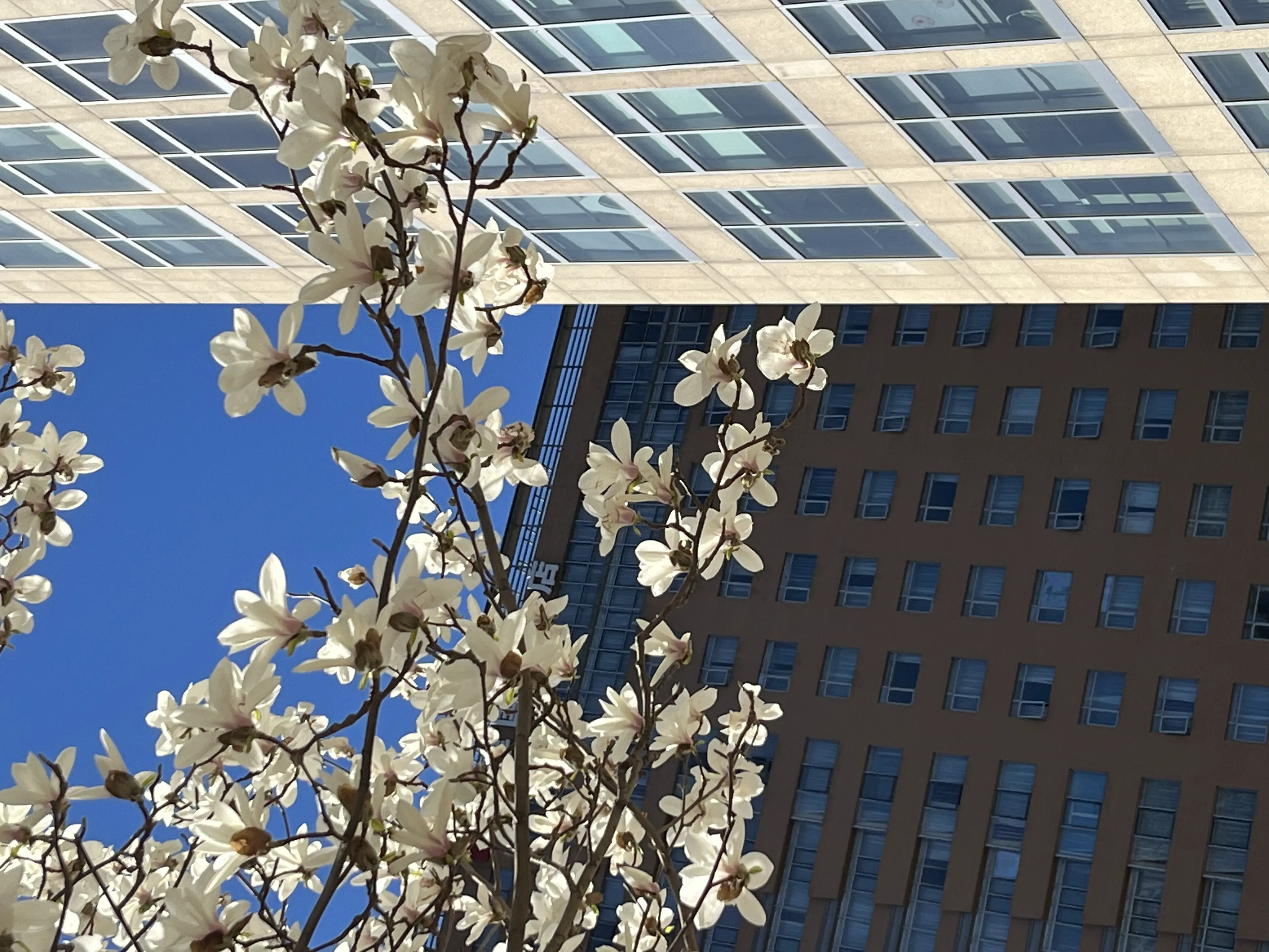 Semi-paranoid #23 「涌现」与科技的祛魅