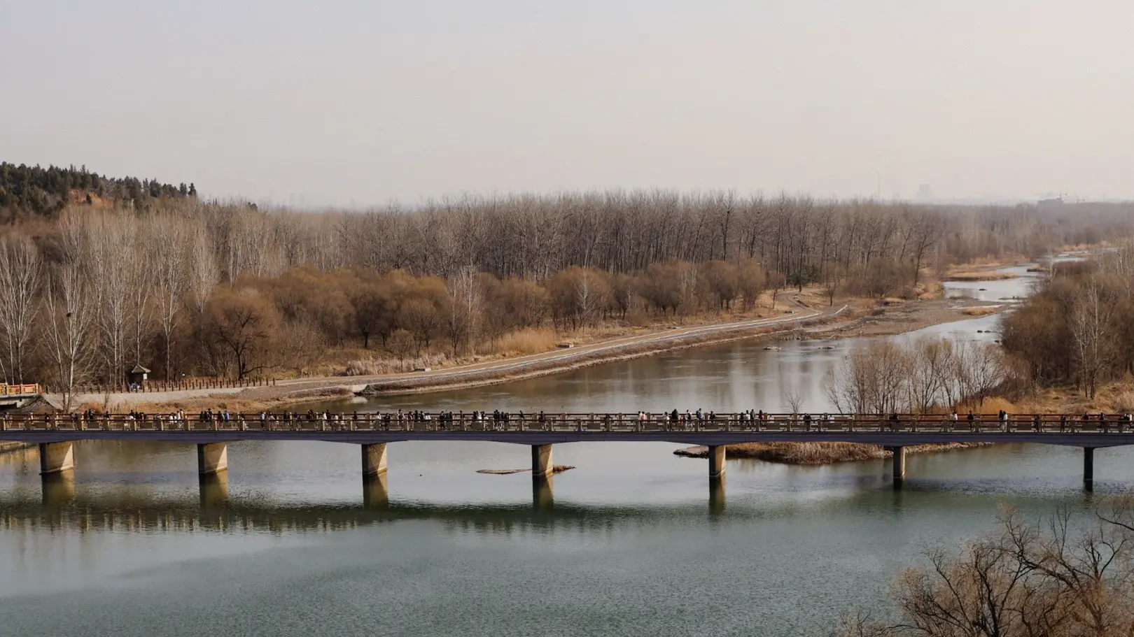 An image to describe post