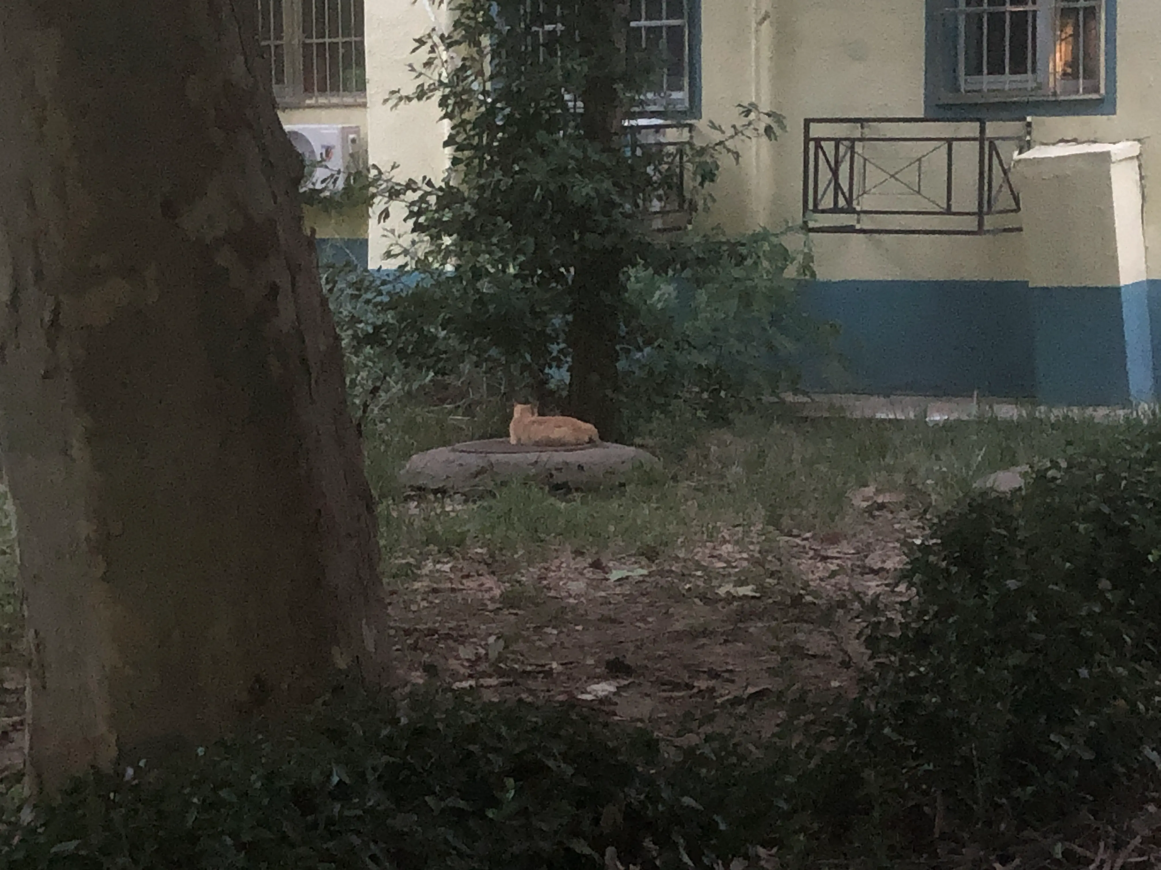 An image to describe post