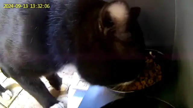 An image to describe post