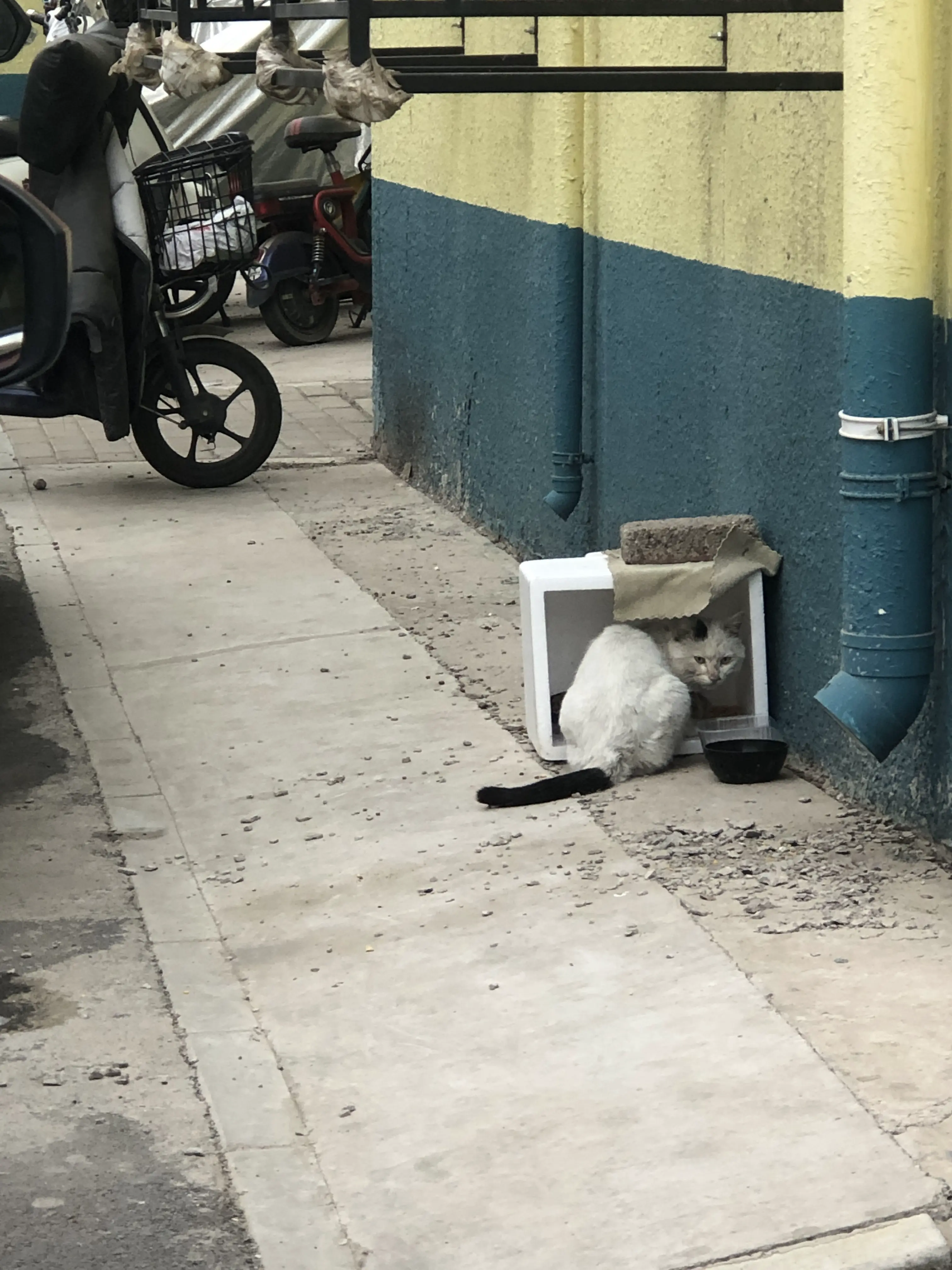 An image to describe post