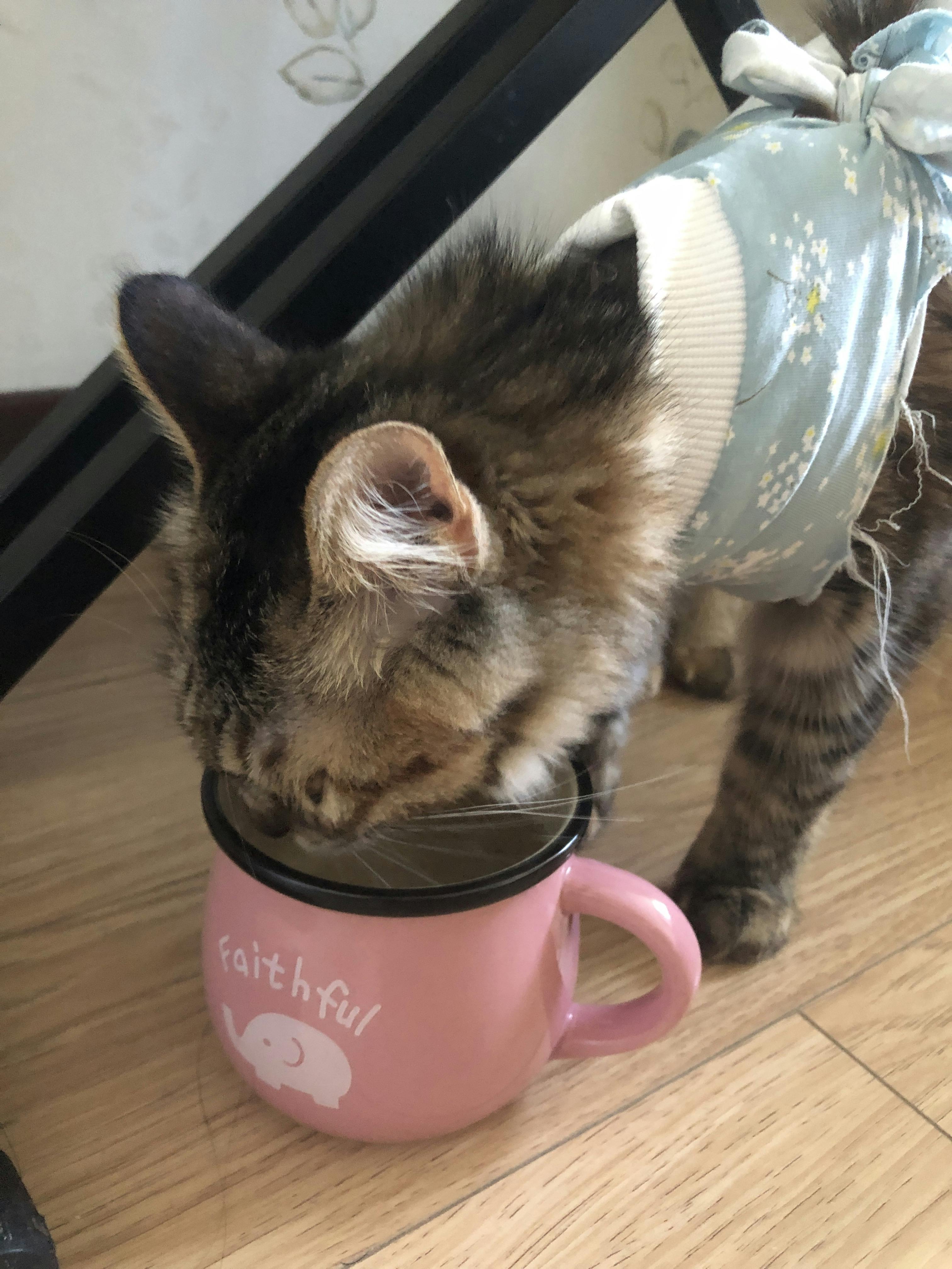 An image to describe post