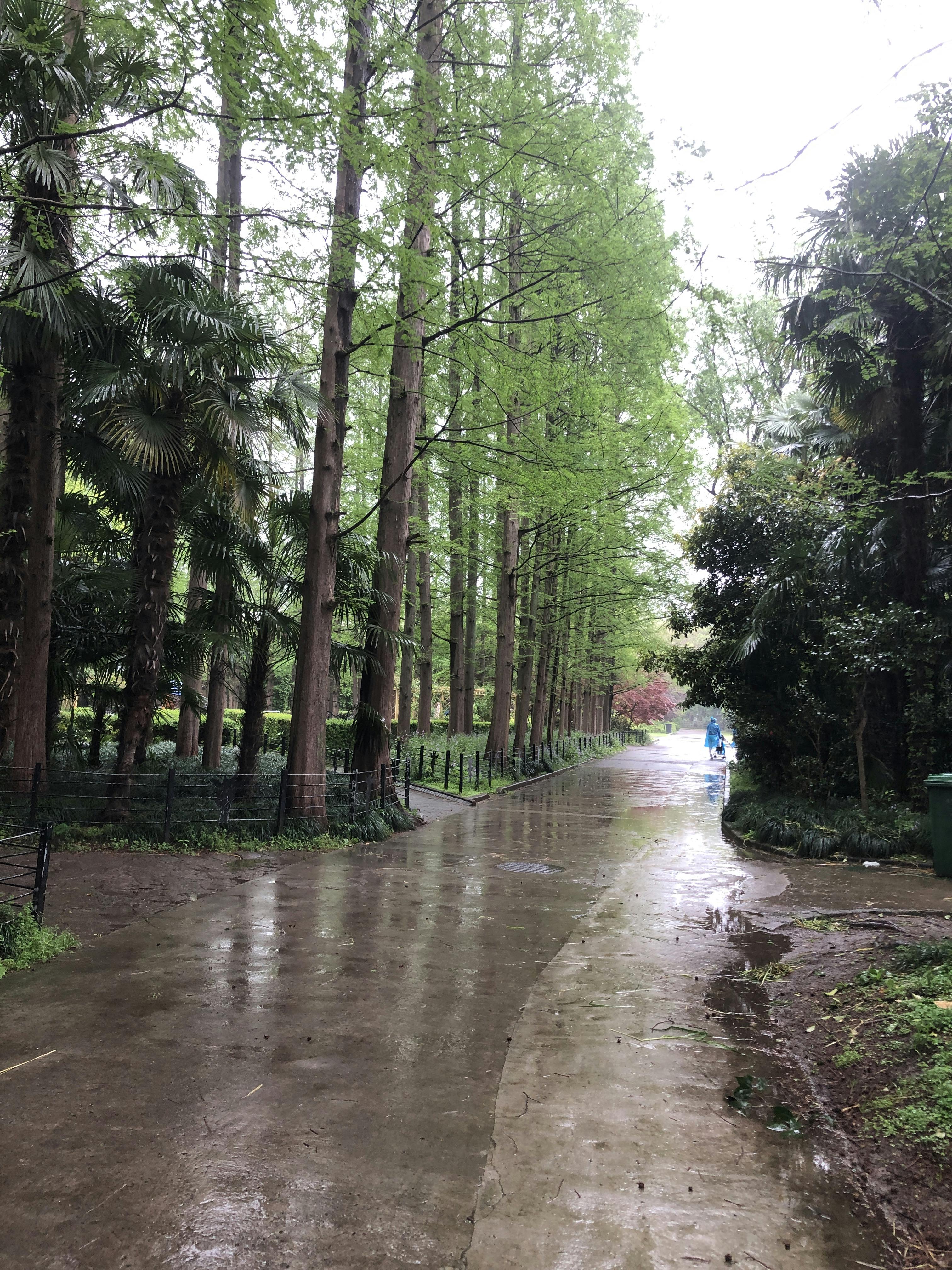 An image to describe post